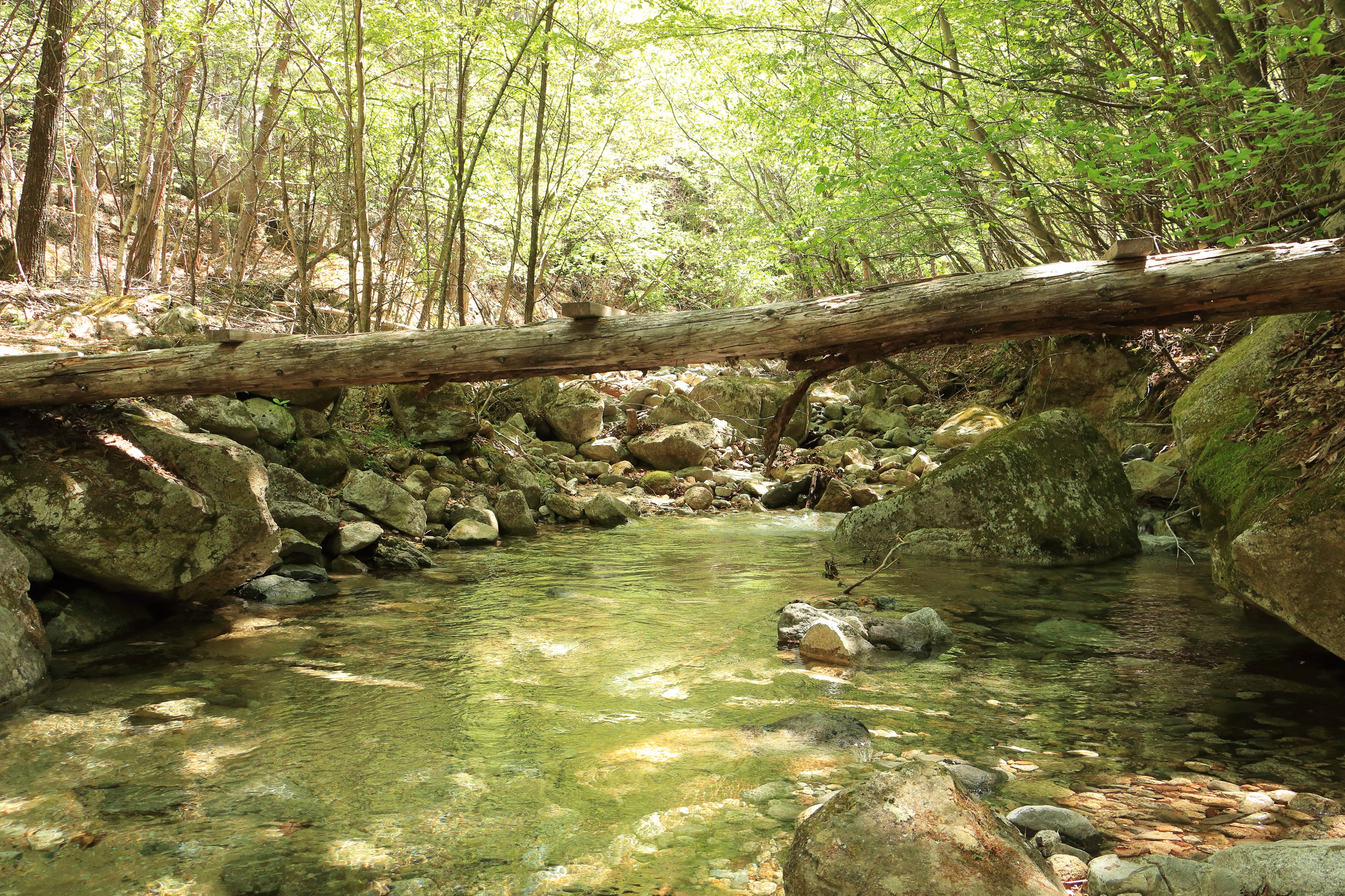 瑞牆山自然公園から周回 のちキャンプ Samuoさんの瑞牆山 金峰山の活動データ Yamap ヤマップ