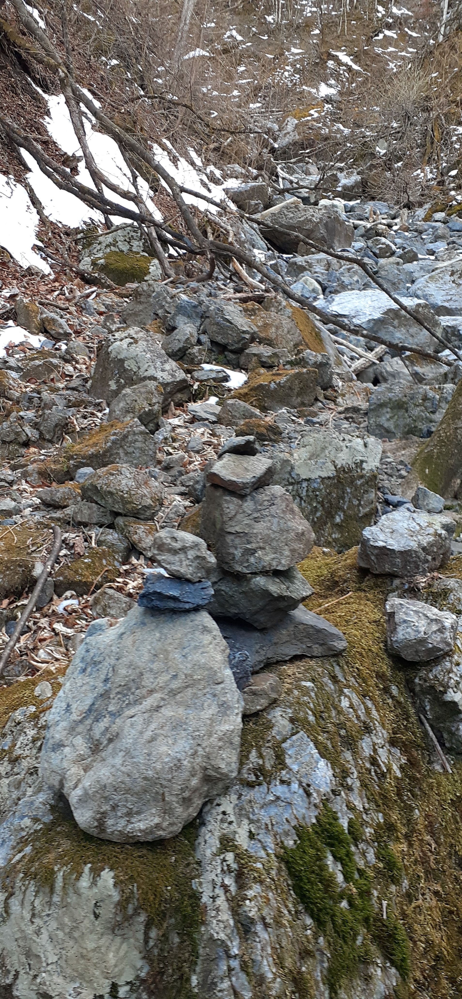 諏訪山経由 八丁尾根から両神山 Peakerさんの両神山 諏訪山 二子山の活動日記 Yamap ヤマップ