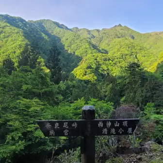 両神山荘まで上がっただけで既に良い景色です♪