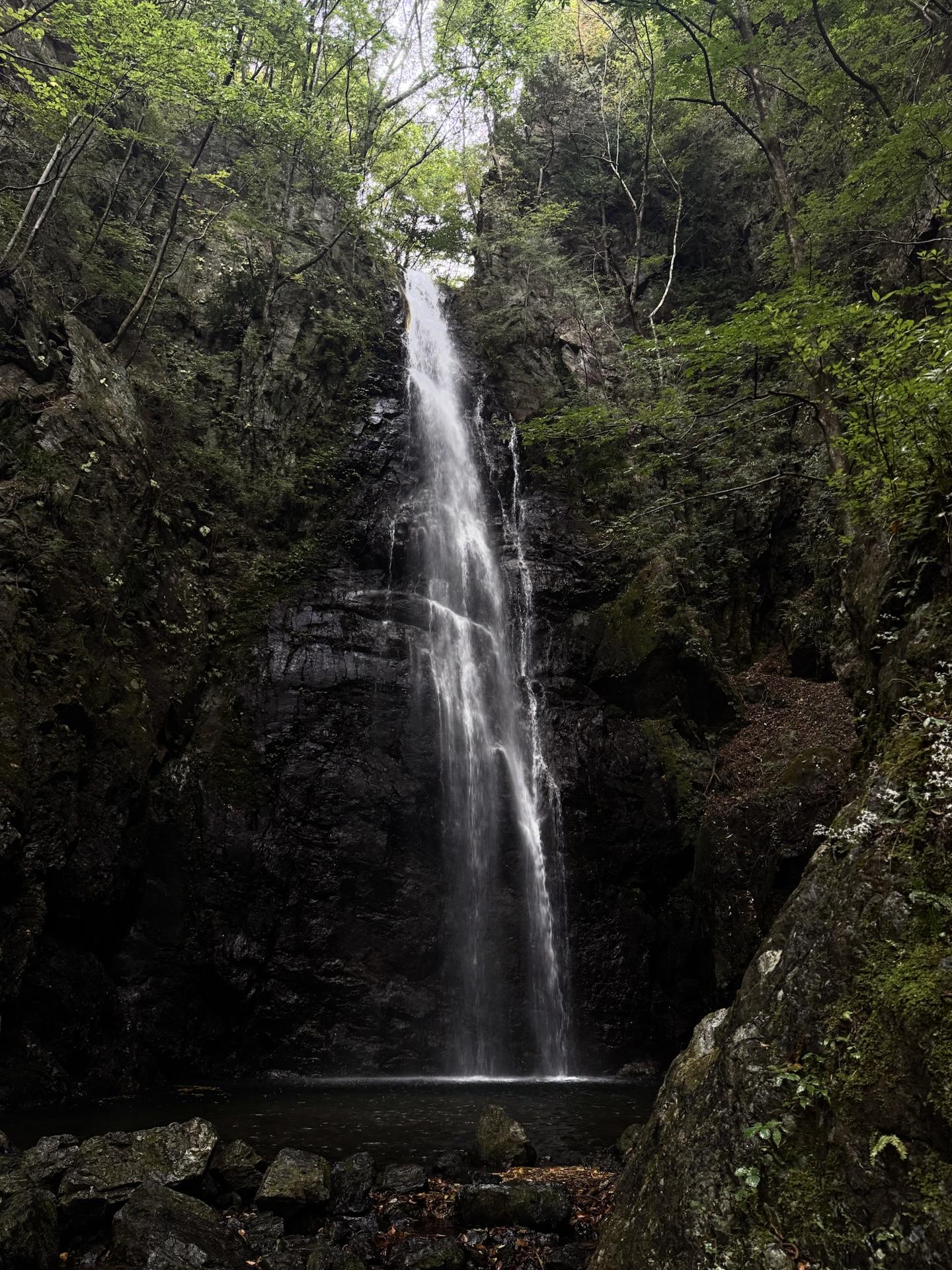 大根ノ山ノ神（東京） | YAMAP / ヤマップ