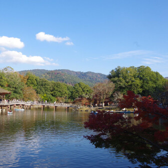 若草山・芳山・高円山 皆様も是非お越しを👋