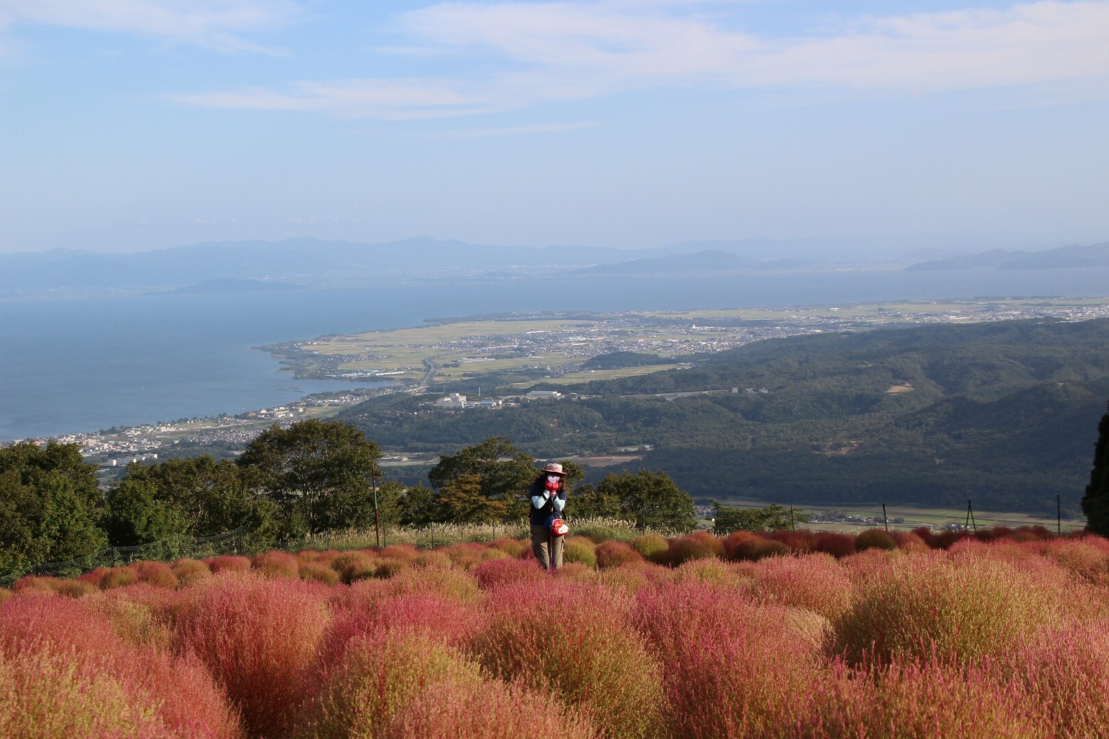 箱館山でコキアとダリアと高島チヂミ ぺこらさんの箱館山の活動データ Yamap ヤマップ