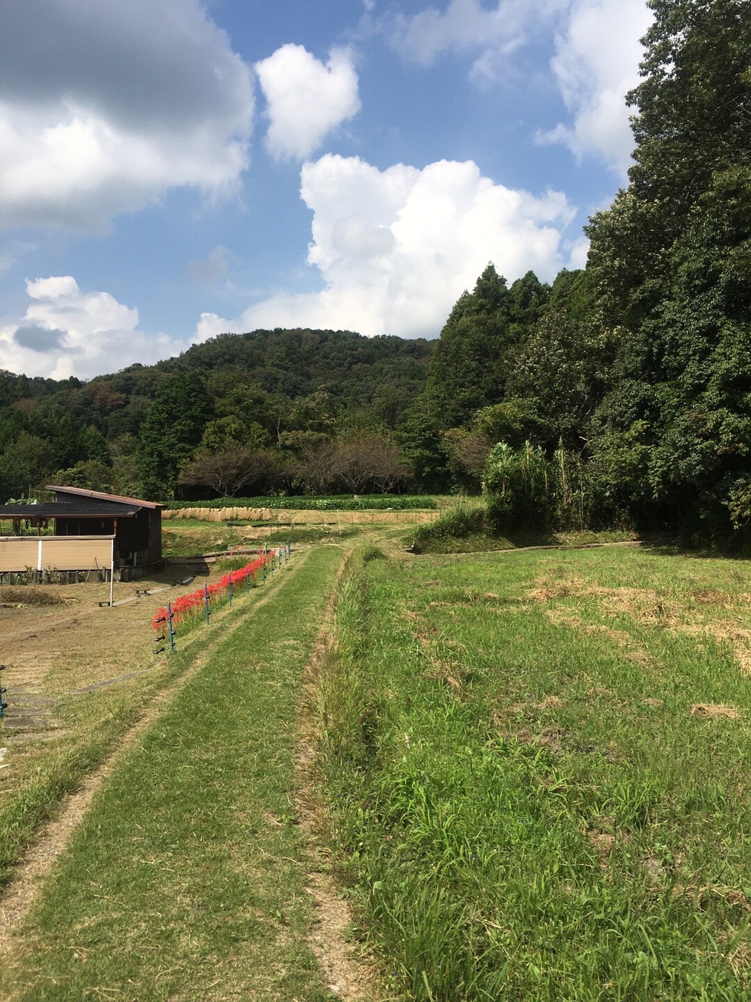猿投山 城ヶ峰 バーグルさんの猿投山 物見山の活動日記 Yamap ヤマップ