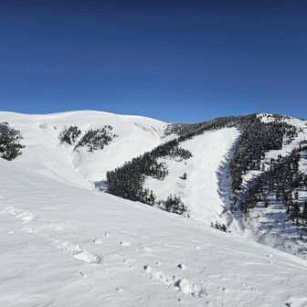 本物の山頂見えた