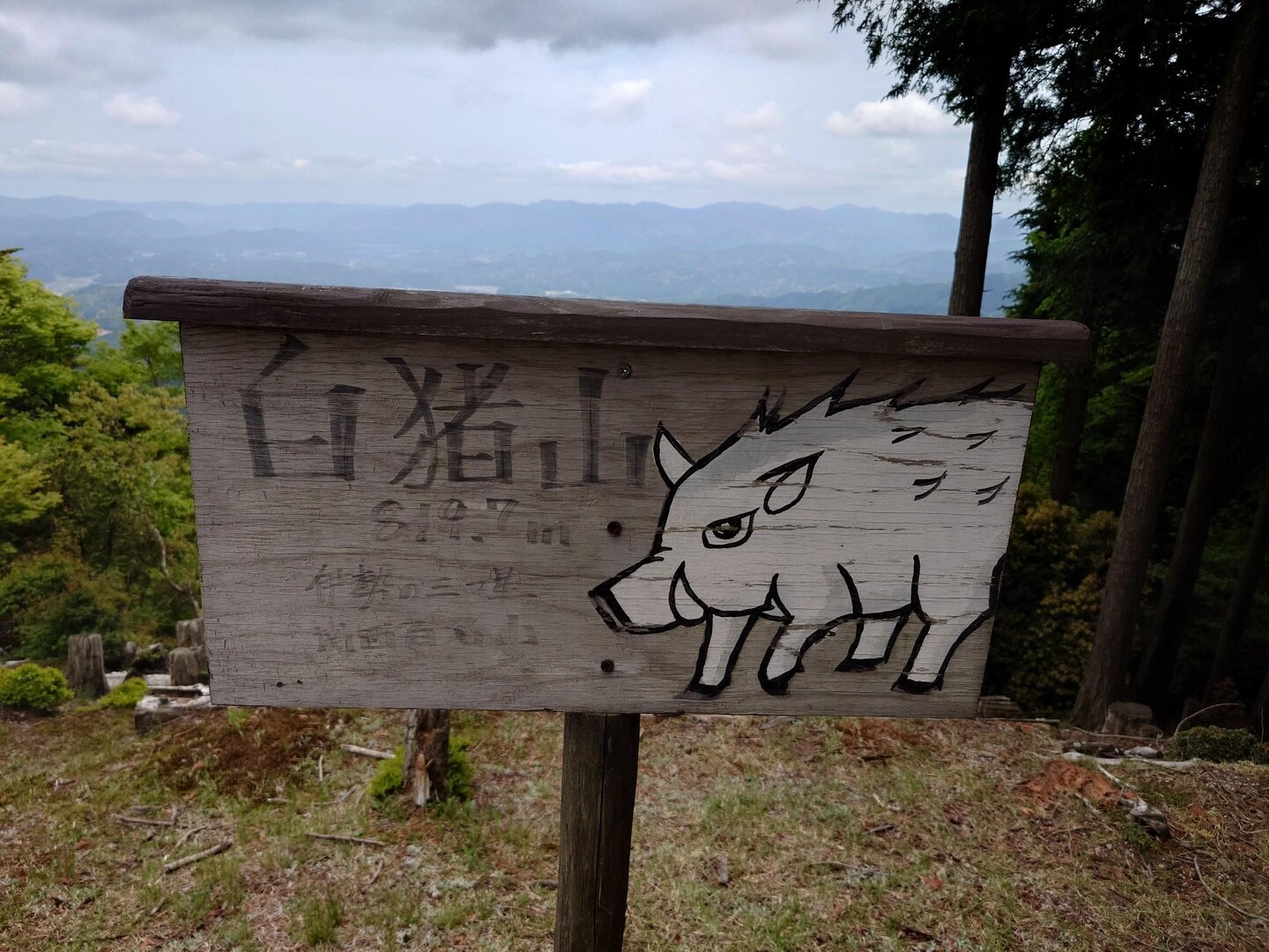 白猪山20230505 / kkitaさんの白猪山の活動データ YAMAP / ヤマップ