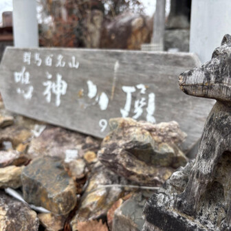 木彫りの狛犬かな？🐕