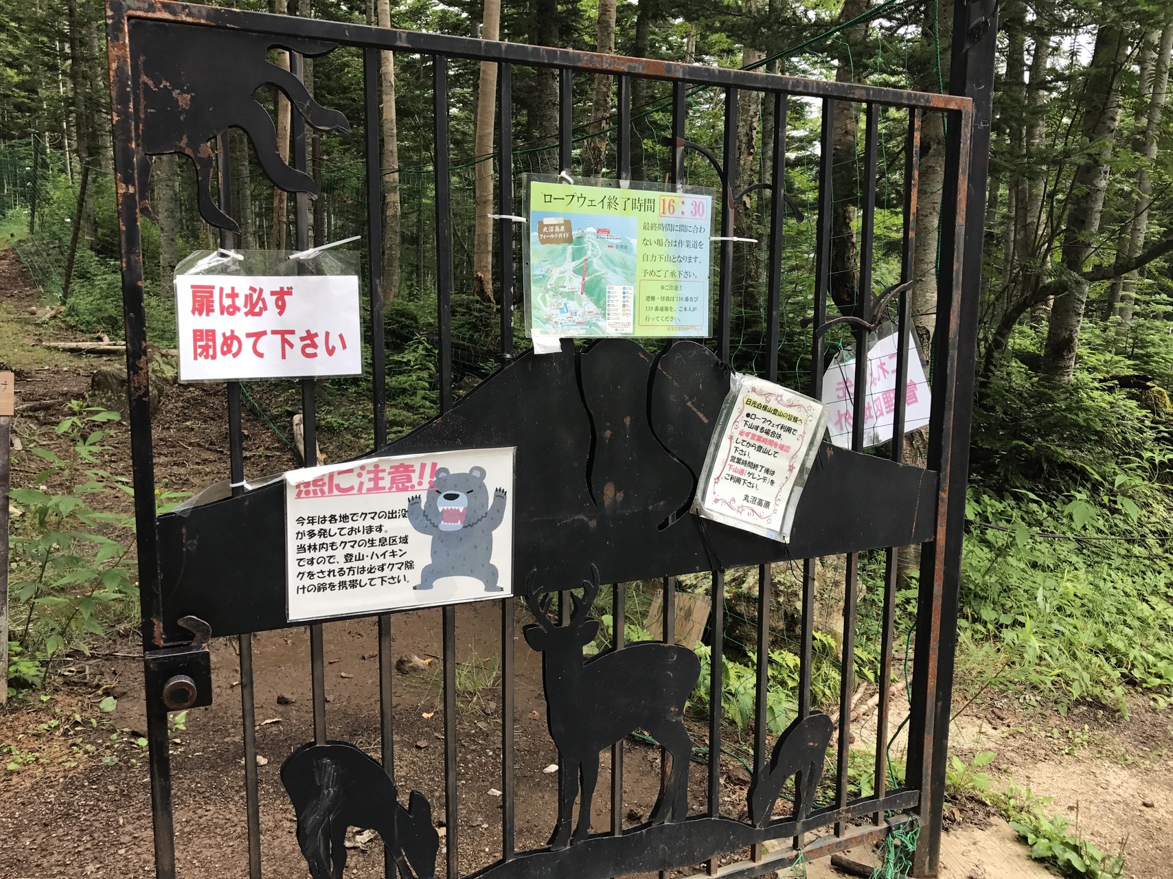 3度目にして初ロープウェイ 日光白根山 ヒロアキさんの日光白根山 五色山 錫ヶ岳の活動日記 Yamap ヤマップ