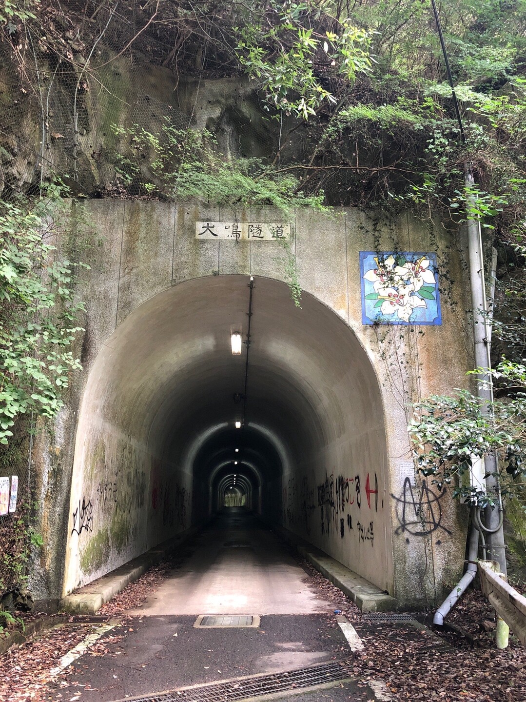 犬鳴山バス停 行者の滝 不動口館 おかゆさんの槇尾山 槙尾山 和泉葛城山 神於山の活動日記 Yamap ヤマップ