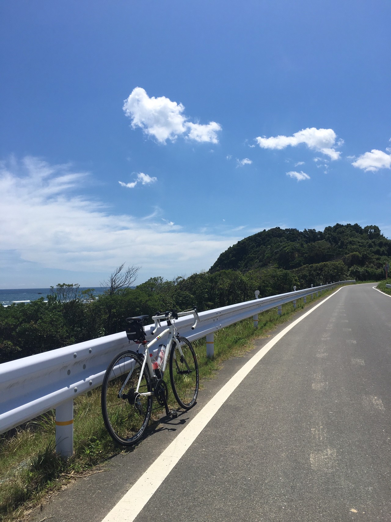 自転車で入野海岸 平野海岸 下田 中村 ユキひろさんの四国遍路その9の活動日記 Yamap ヤマップ