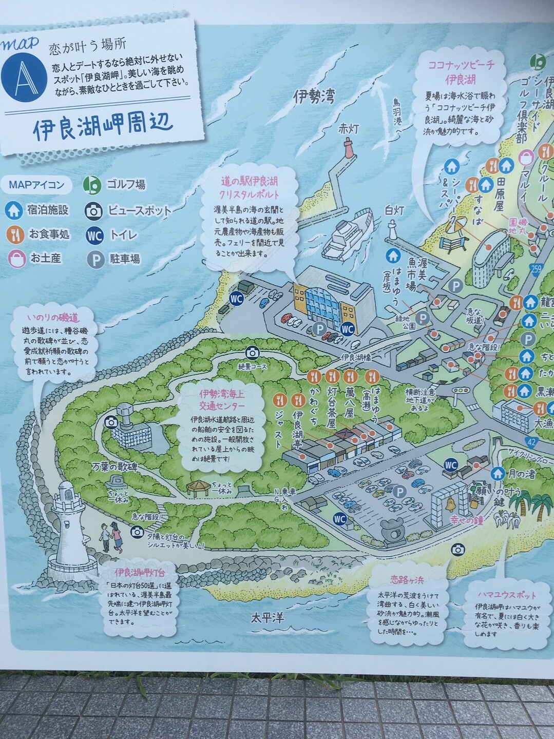 夏の終わり そうだ 伊良湖に行こう Yazakiさんの雨乞山 愛知県 大山の活動日記 Yamap ヤマップ