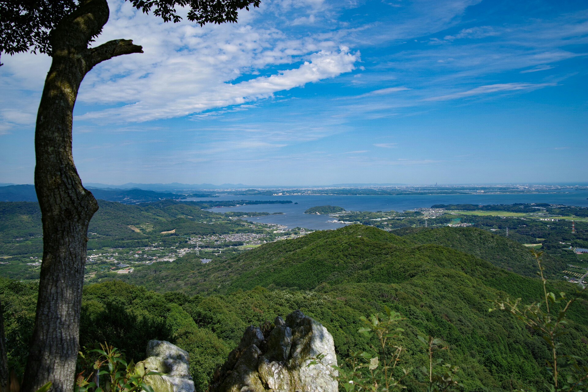 ビン・カシワ/湿原パラダイス