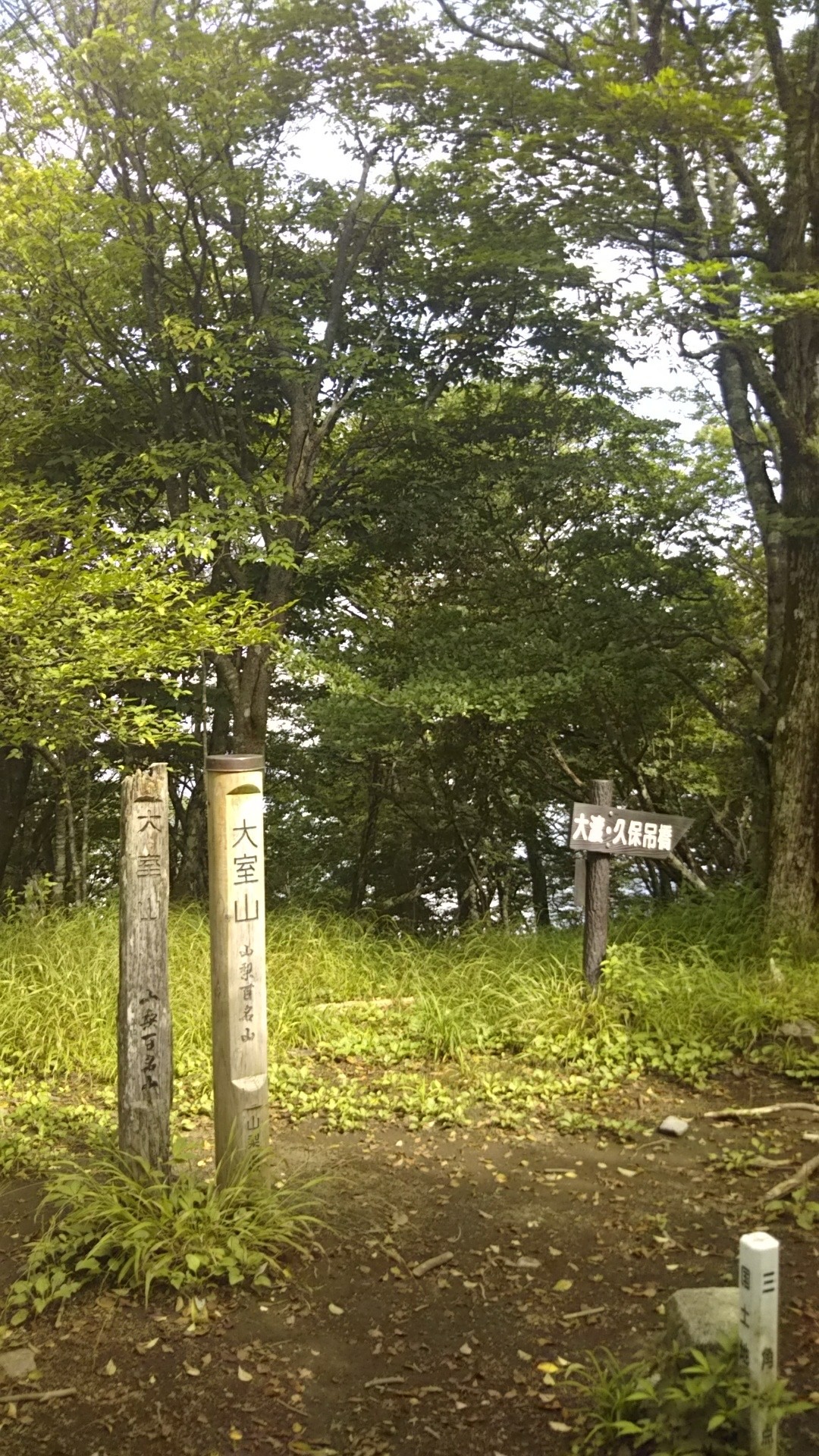 加入道山 1418m 大室山 山梨県100名山 1507ｍ Wishさんの大室山 丹沢 畦ヶ丸山 菰釣山の活動データ Yamap ヤマップ