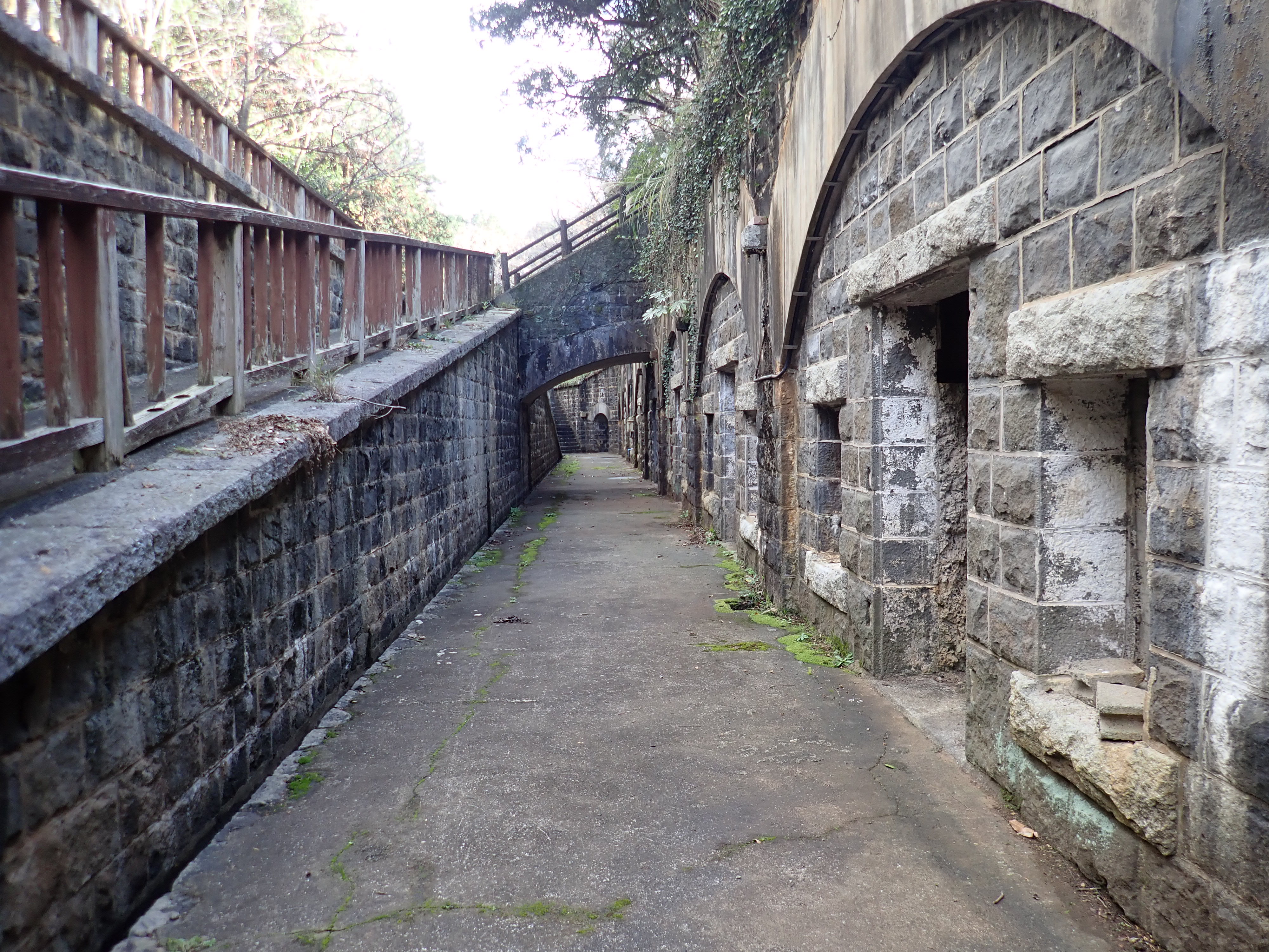 西彼杵半島の山 番外編 石原岳森林公園 そよかぜさんの西海市の活動データ Yamap ヤマップ