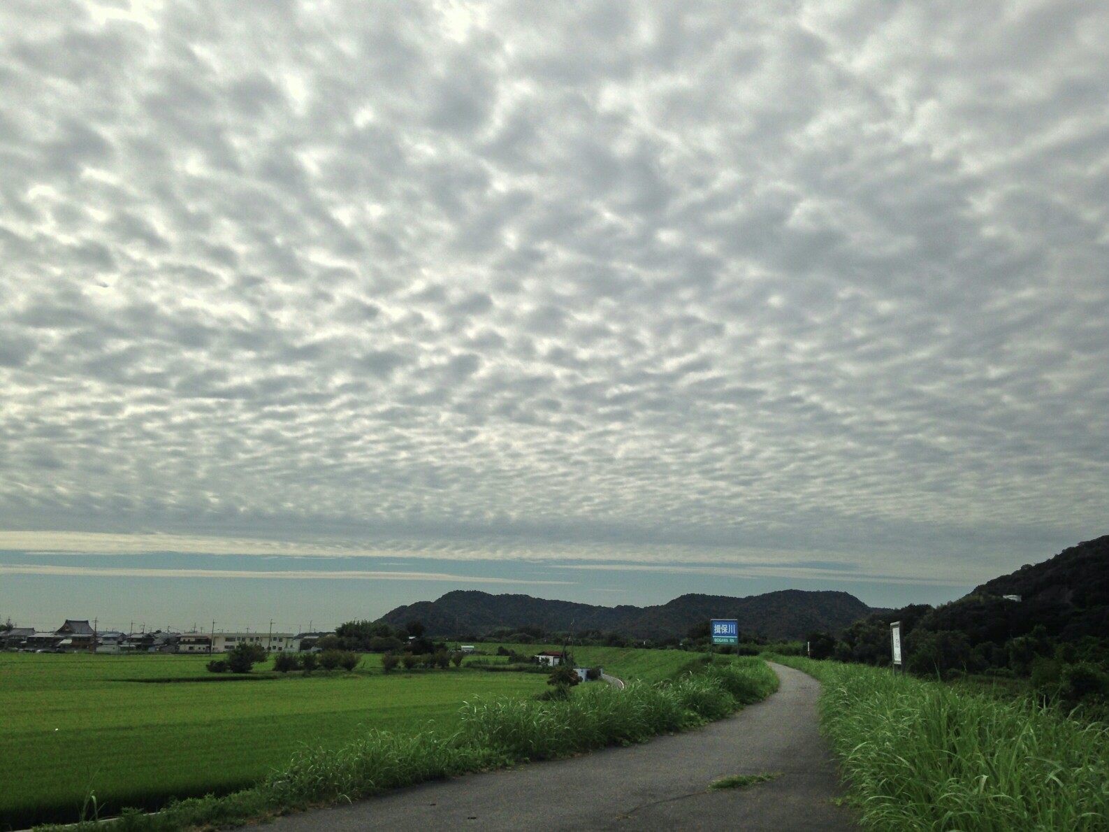 8 31 山ではないですが 地元の川沿い土手をサイクリング Otaikoaki さんの姫路市の活動データ Yamap ヤマップ