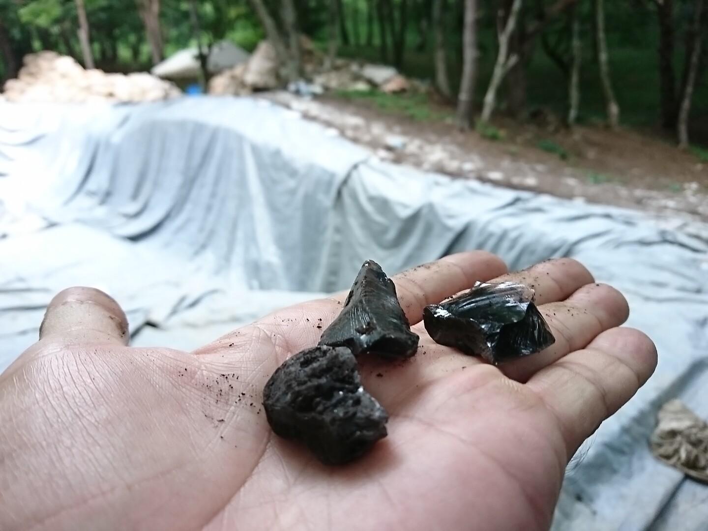 星の糞 クソ 黒曜石 ハイキング 霧ヶ峰 車山 大笹峰の写真2枚目 黒いガラス質の黒曜石 クソのサイズ Yamap ヤマップ