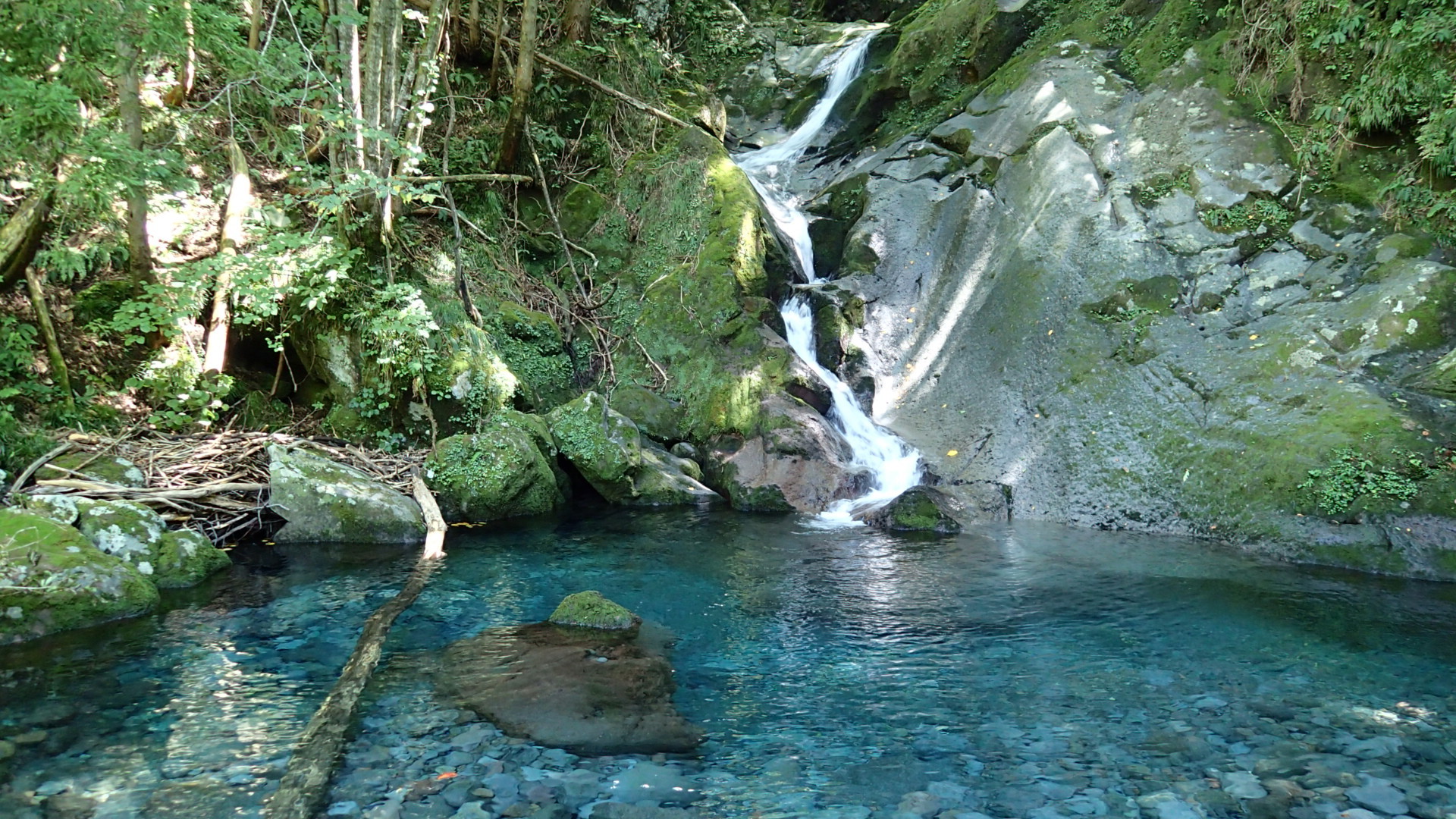 鳥海山 高瀬峡ハイキング 07wenさんの鳥海山 七高山 笙ヶ岳の活動日記 Yamap ヤマップ
