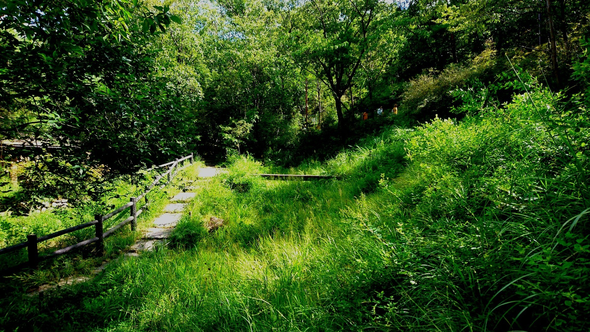 弁天池 地すべり資料館 甲山森林公園 甲山自然環境センター 甲山山頂 神呪寺 みくるま池 ろひさんの六甲山 長峰山 摩耶山の活動日記 Yamap ヤマップ