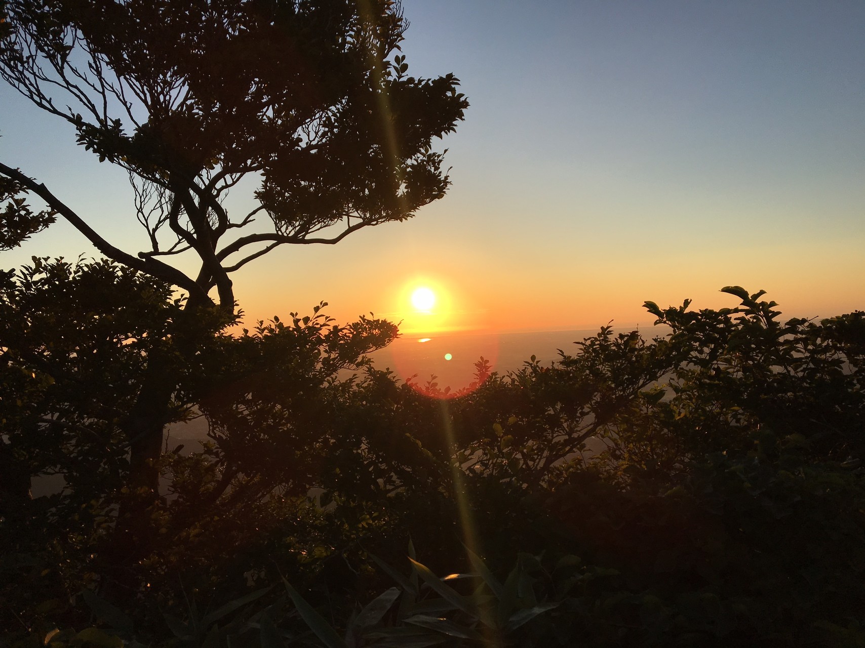 筑波山日の出登山 Limeswindさんの筑波山の活動データ Yamap ヤマップ