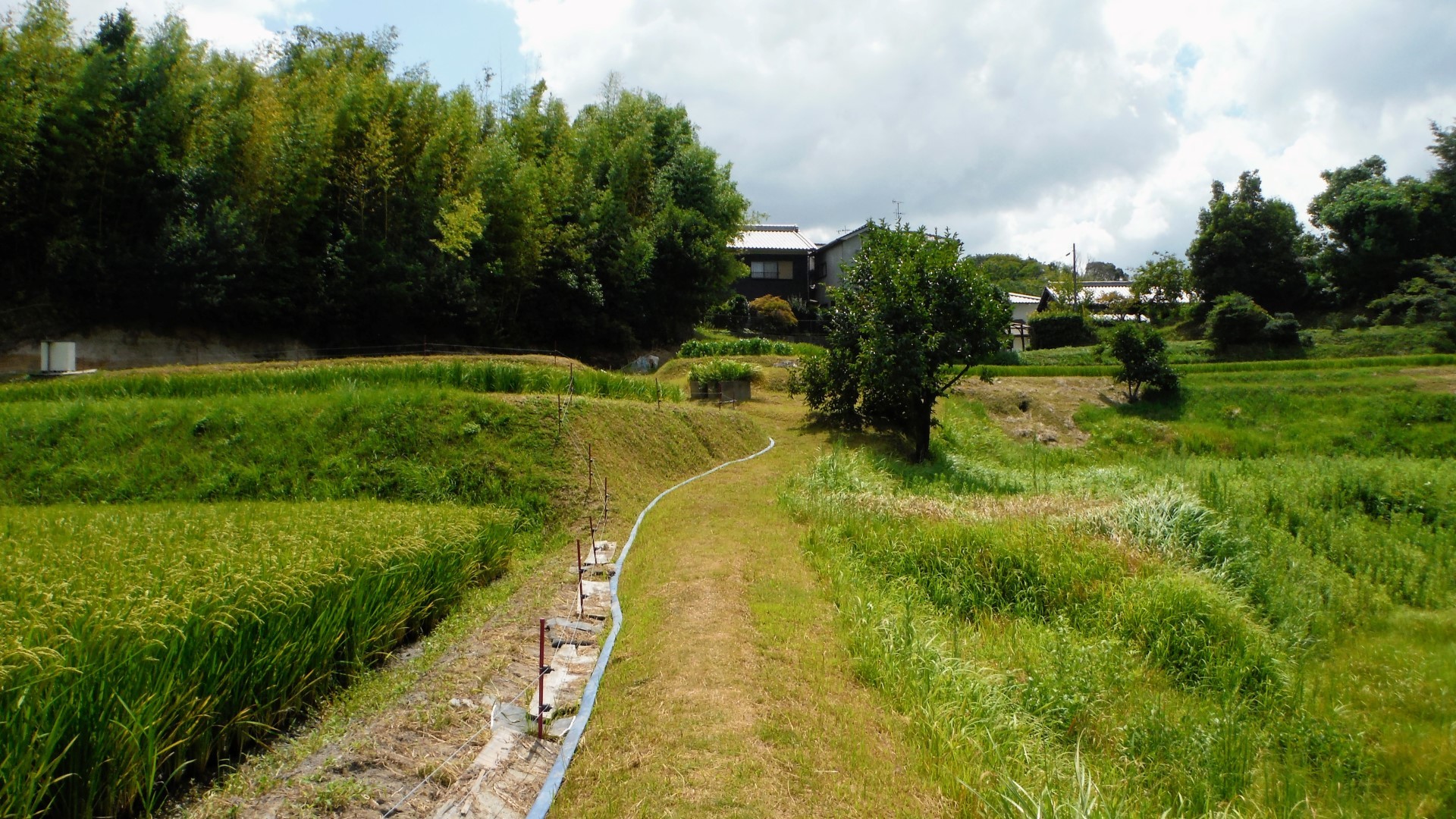 北倭村道路元標と生駒の古道 高山狭戸 鹿畑 Toyoさんの交野山 国見山の活動日記 Yamap ヤマップ