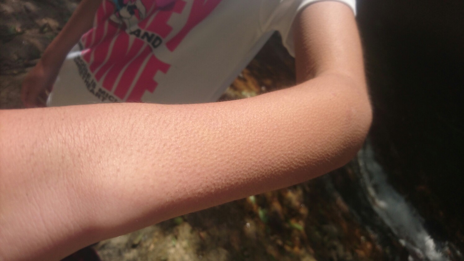 近くの逢山峡に自転車とrunning Gollさんの六甲山 長峰山 摩耶山の活動データ Yamap ヤマップ