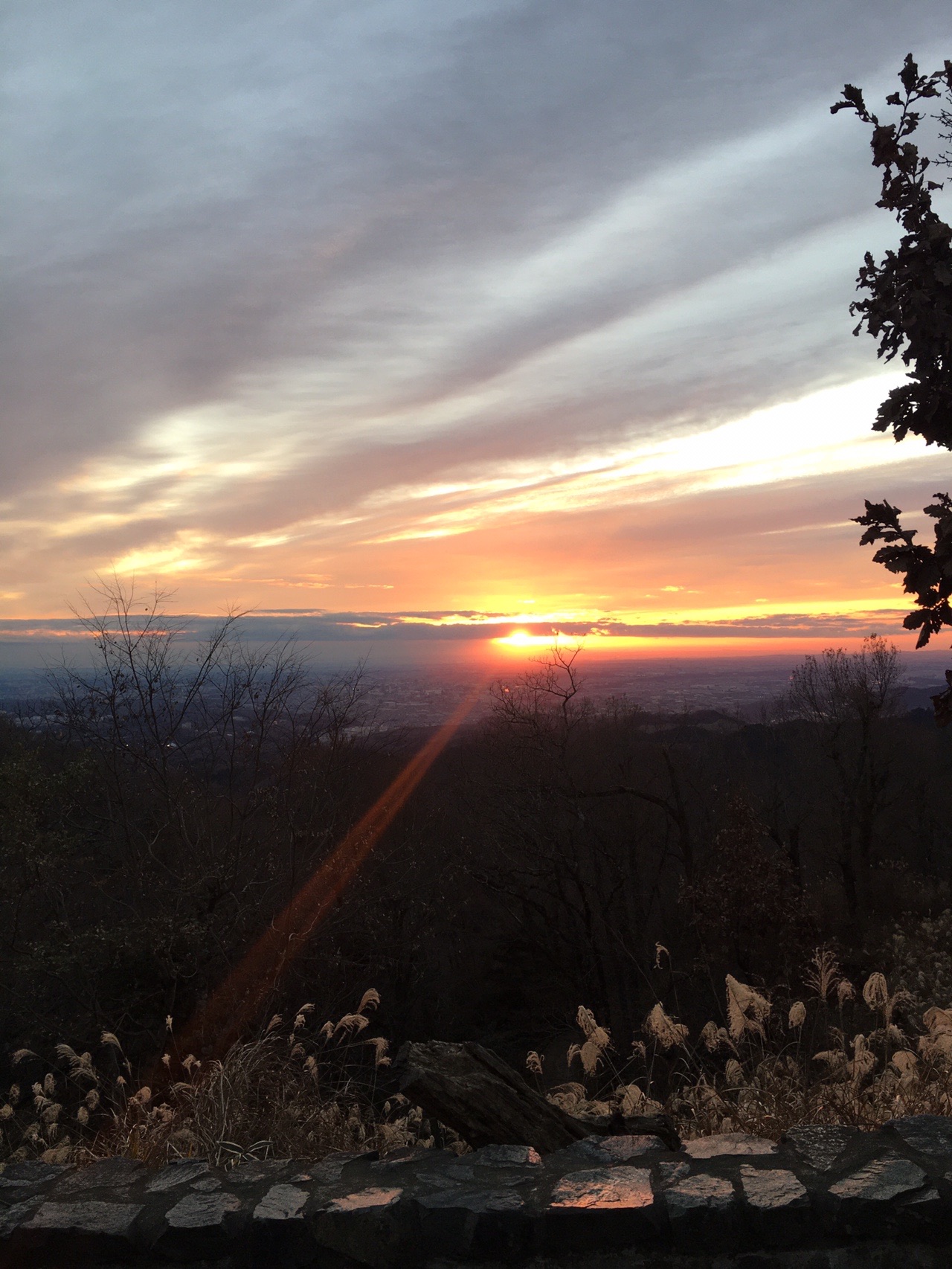 高尾山 日の出 Takaさんの高尾山 陣馬山 景信山の活動データ Yamap ヤマップ