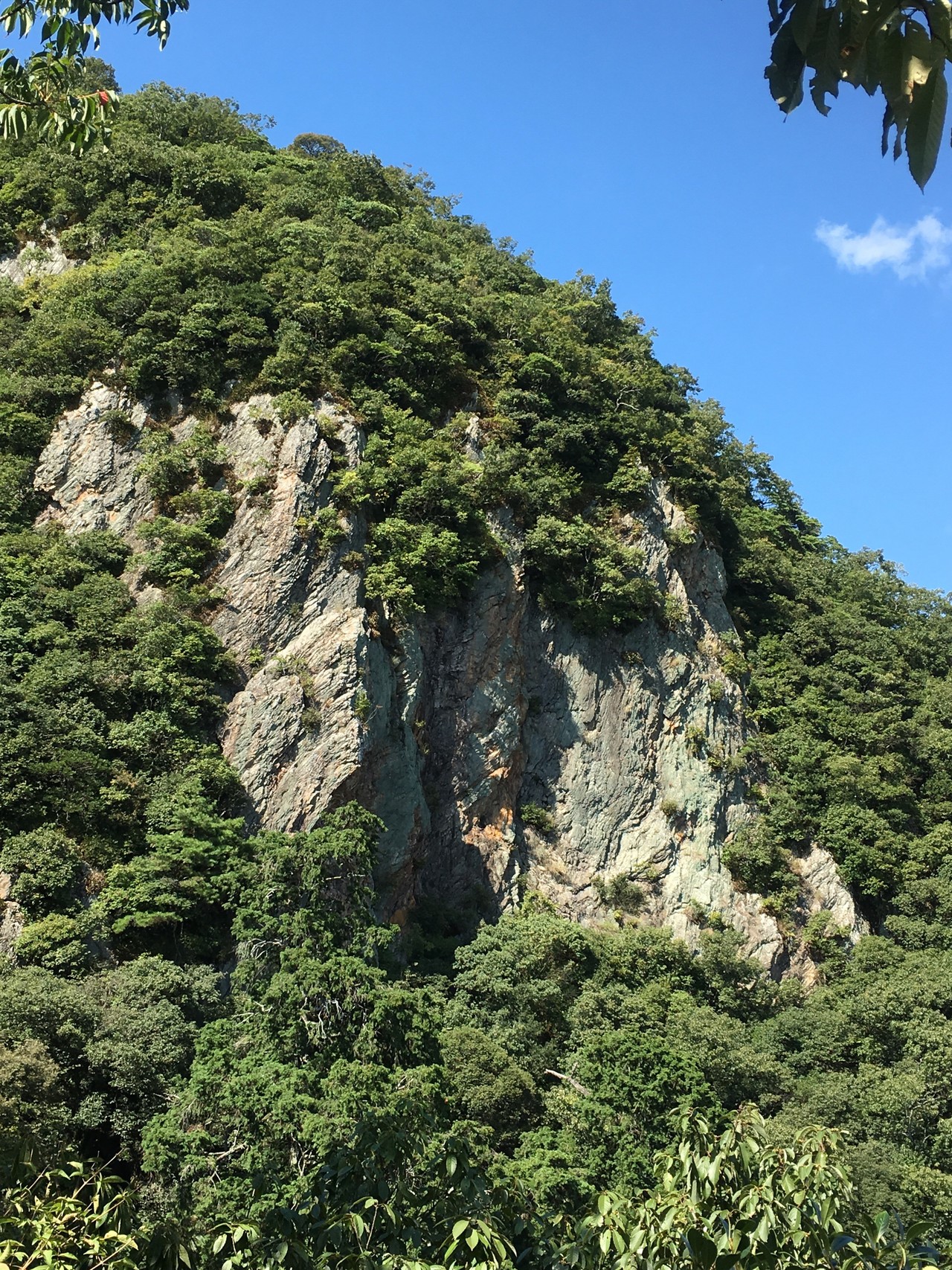 トレーニングで東坂崖コースを登り 馬の背を下り また登り 東坂コースで帰りました ゆうちゃんさんの金華山 洞山 舟伏山の活動日記 Yamap ヤマップ