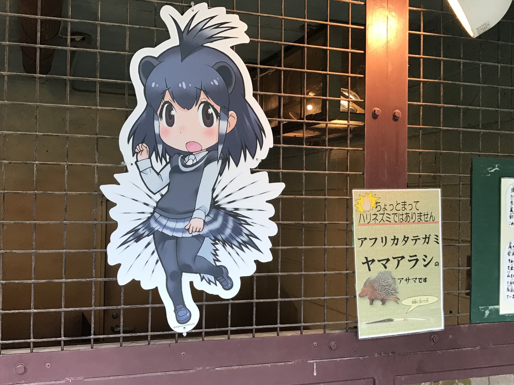 みさき公園にフレンズに会いに行きました 社長aさんの紀泉アルプス 飯盛山 ボンデン山の活動日記 Yamap ヤマップ