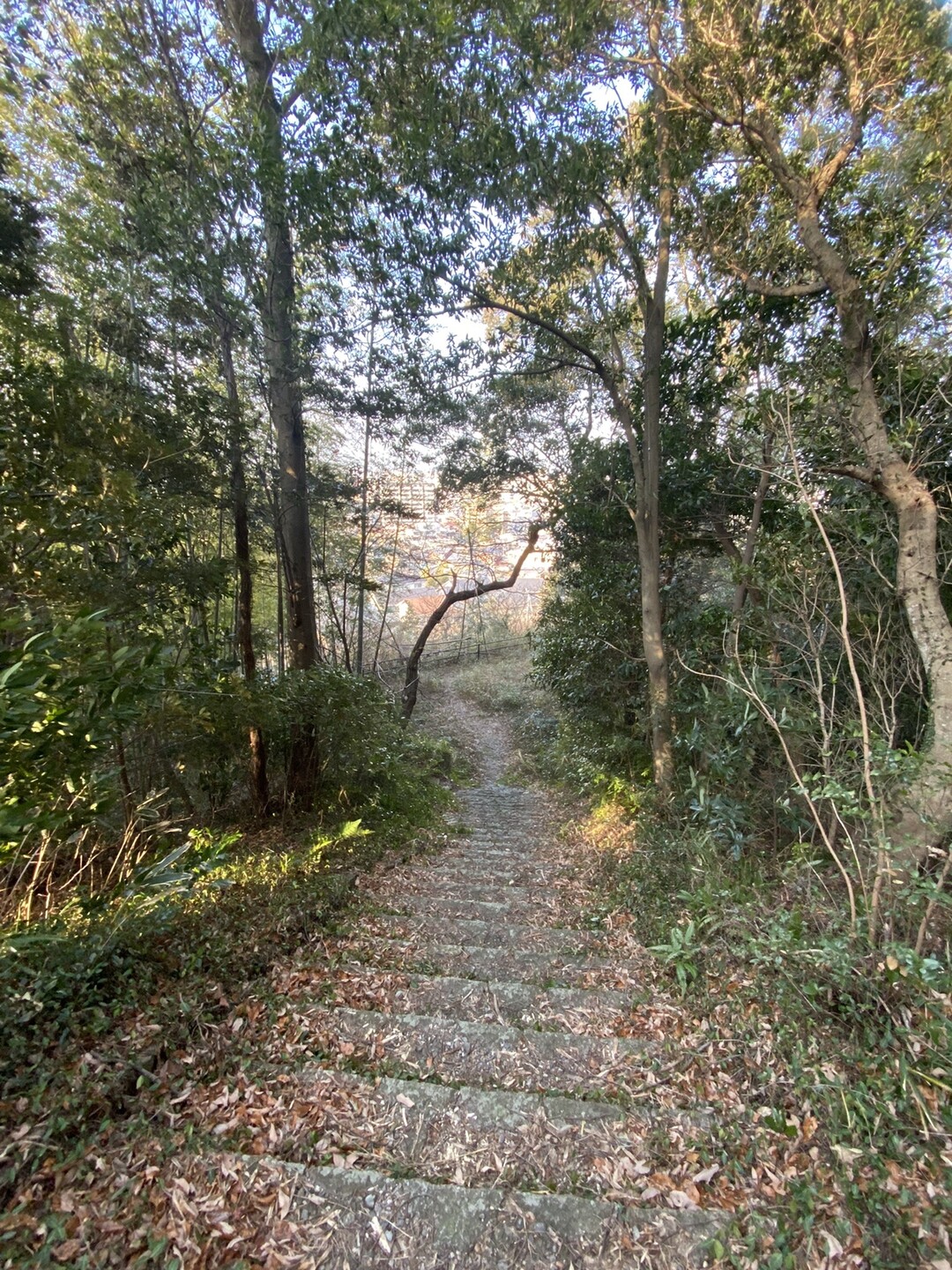 干支のお山 虎尾山へ Chiiiyanさんの伊勢市の活動日記 Yamap ヤマップ