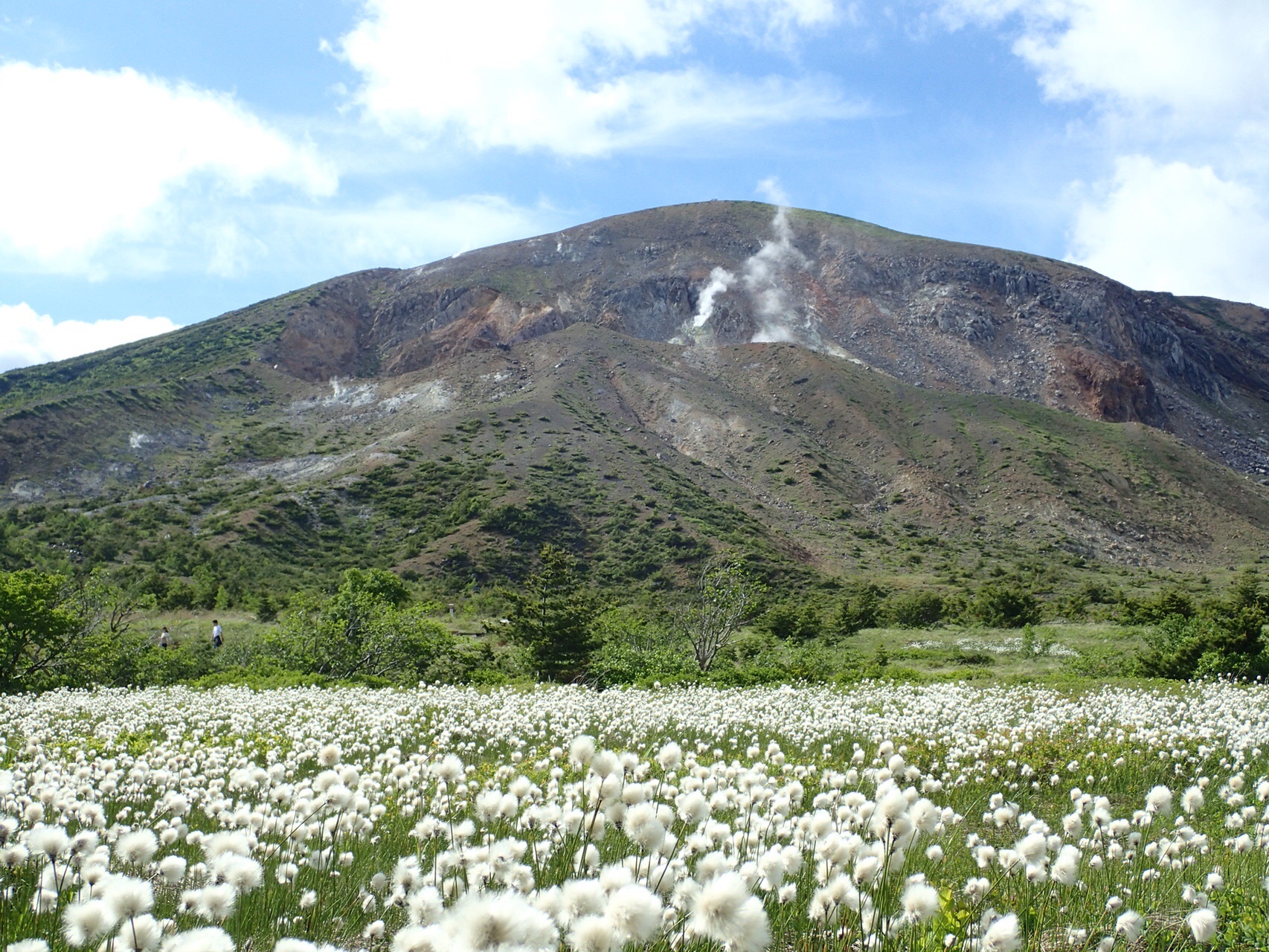 東吾妻山と小富士とワタスゲと においさんの吾妻山 一切経山の活動日記 Yamap ヤマップ