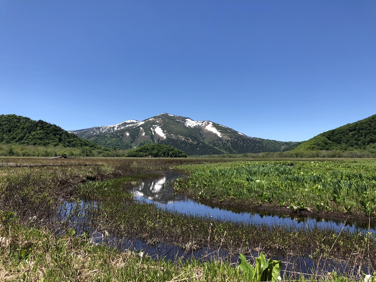 尾瀬から富士山ゲット 鳩待峠 アヤメ平 見晴 山の鼻 鳩待峠 はいぱあさんの尾瀬 燧ヶ岳の活動日記 Yamap ヤマップ