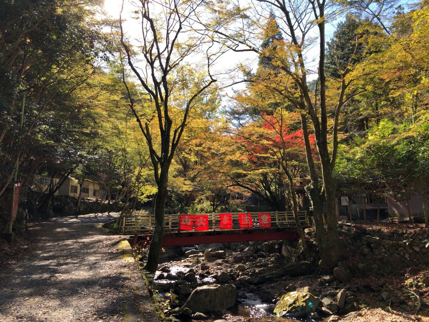 青々の紅葉まつり In くらがり渓谷hk Sagさんの巴山 愛知県 獅子ヶ森 文殊山の活動日記 Yamap ヤマップ