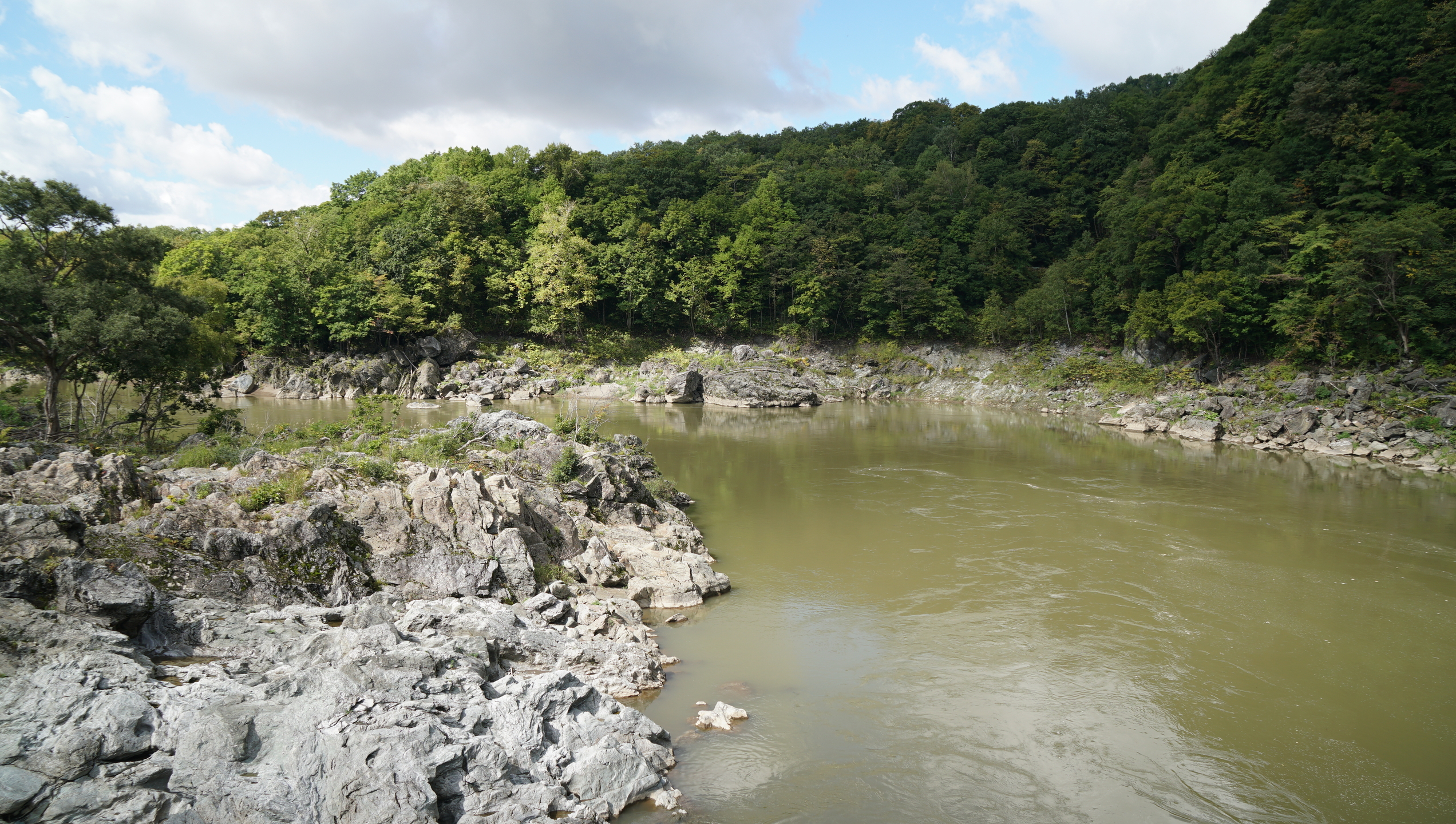神居古潭 神居岩 神居ハイキングコース ふくともさんの嵐山公園 近文山 半面山の活動日記 Yamap ヤマップ