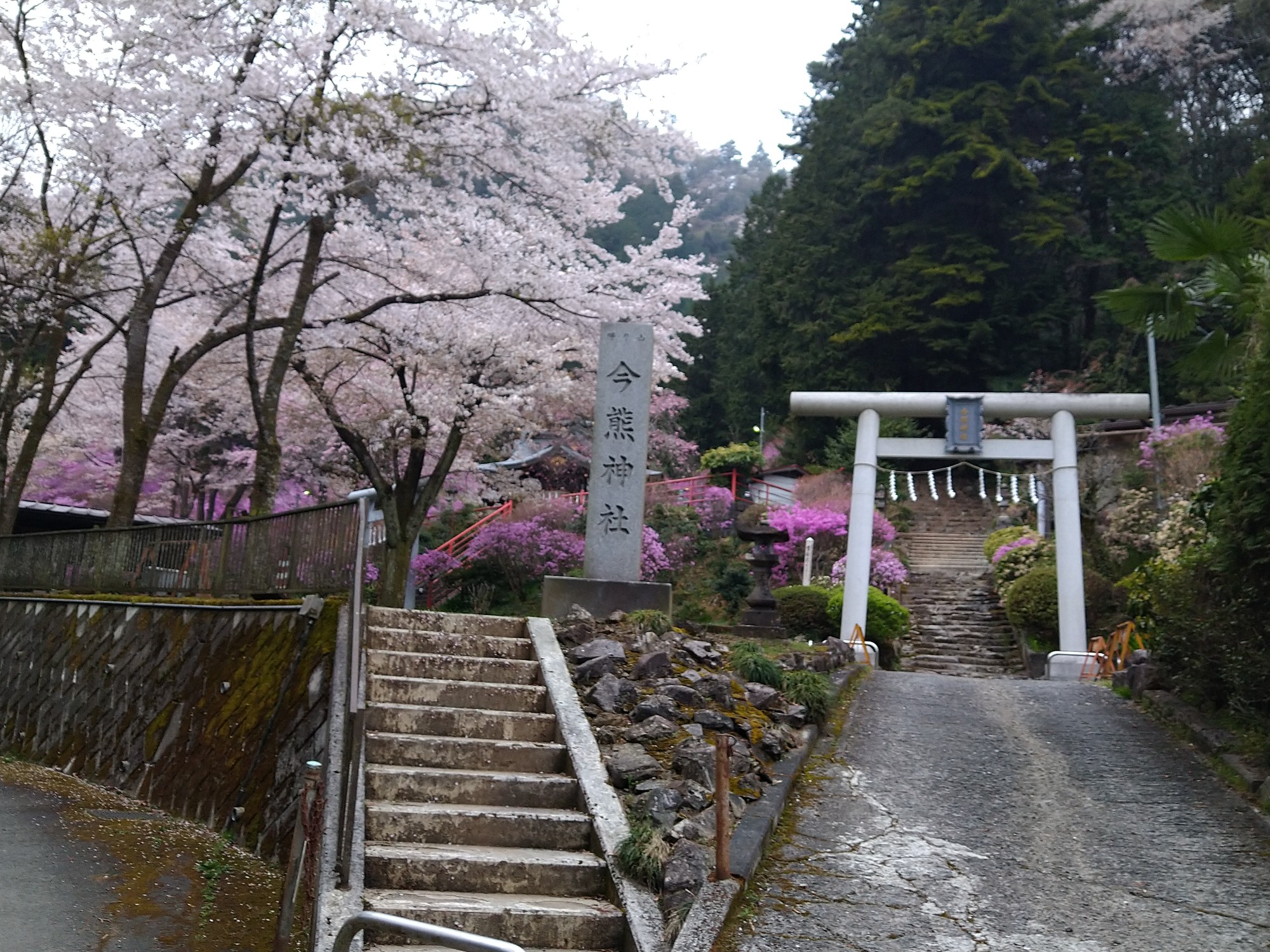 ハセツネ30kコース下見 湯の川さんのハセツネcup 日本山岳耐久レース 71 5kmコース の活動データ Yamap ヤマップ