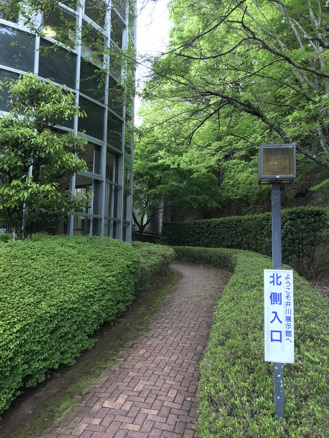 金谷から井川ダム、井川本村へ / 天狗石山(静岡県)・七ツ峰・智者山の 