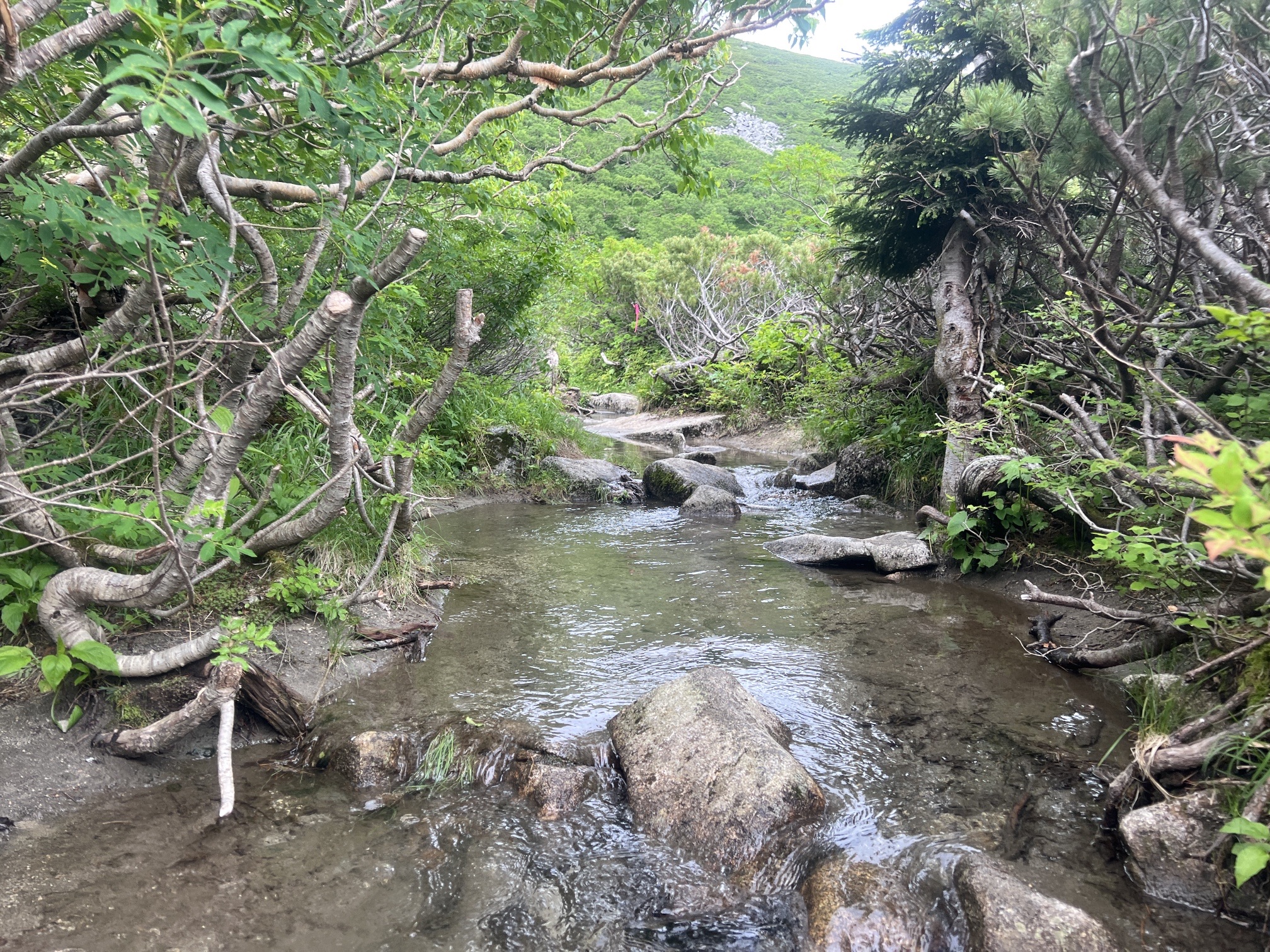 濃ケ池過ぎると、ここを歩きます。