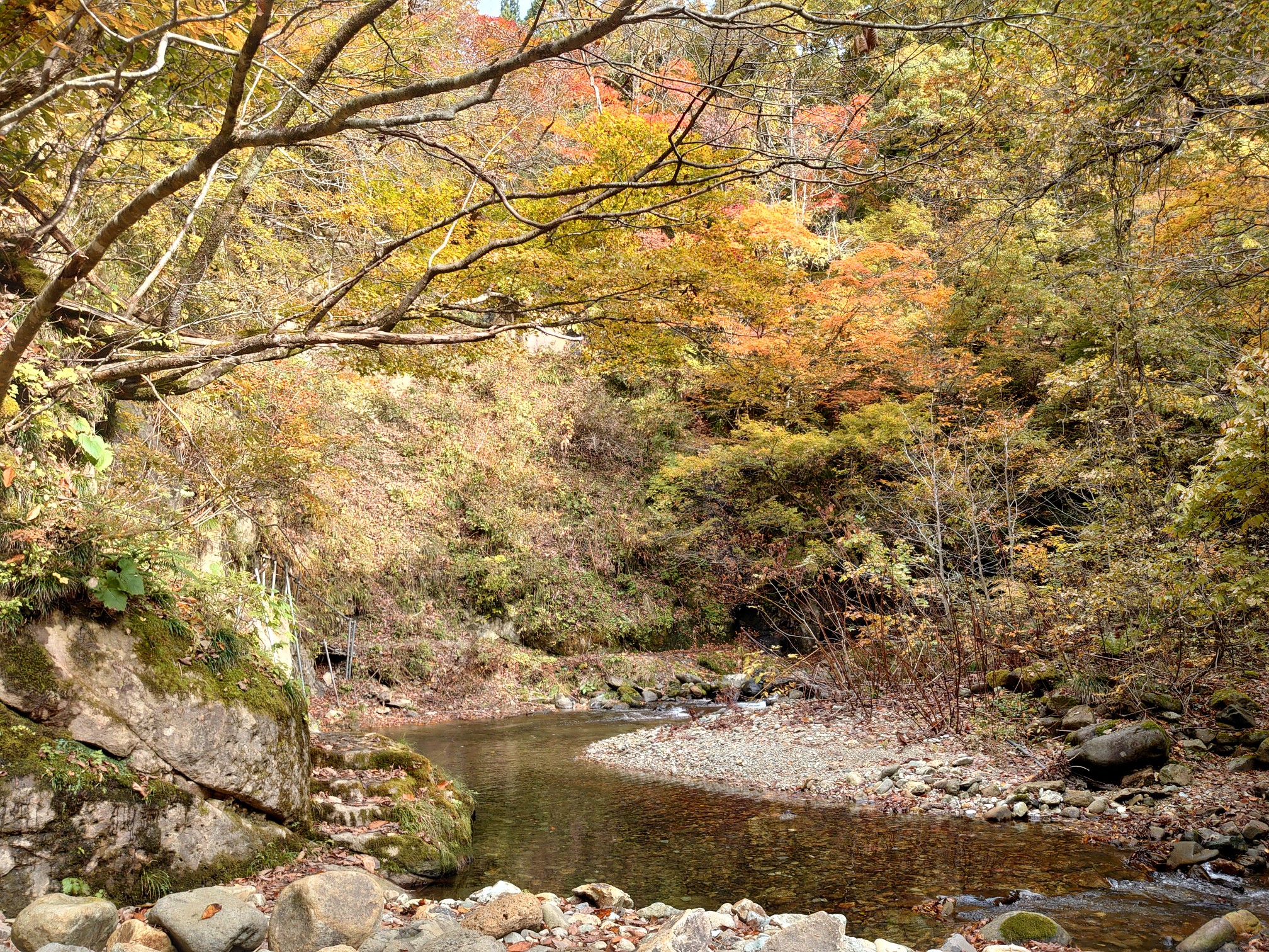 面白山 紅葉川渓谷 11 01 やまもさんの面白山 神室岳 雨呼山の活動データ Yamap ヤマップ