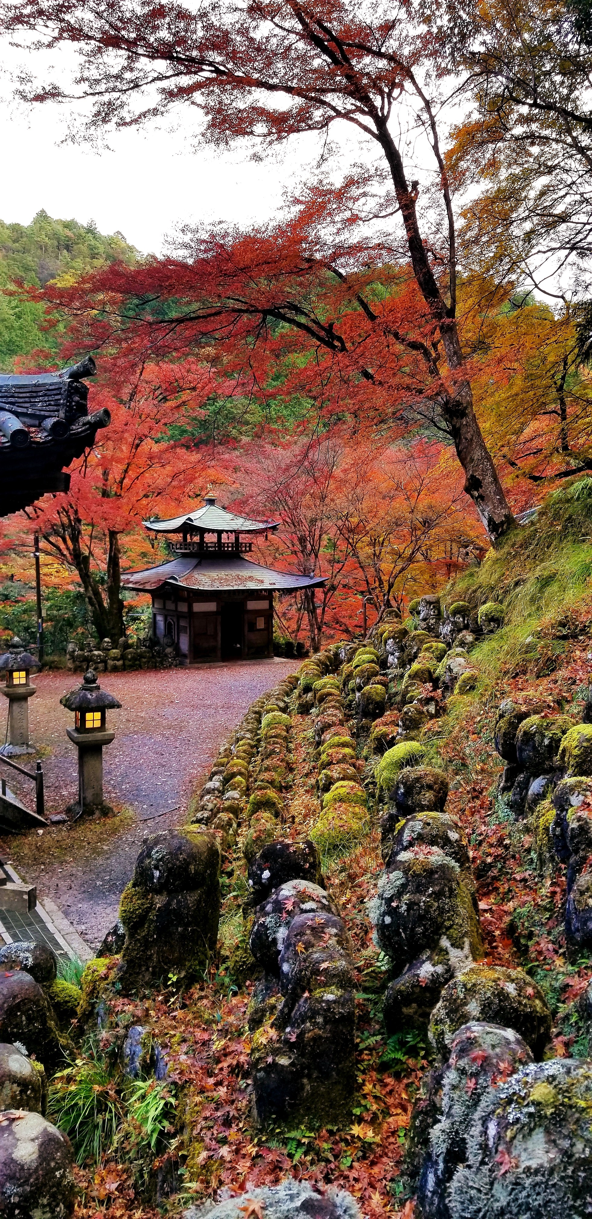 大覚寺 大沢池 宝筐院 化野念仏寺 愛宕念仏寺 嵐山 紅葉 21 11 24 ふんころがしさんの京都一周トレイルの活動日記 Yamap ヤマップ