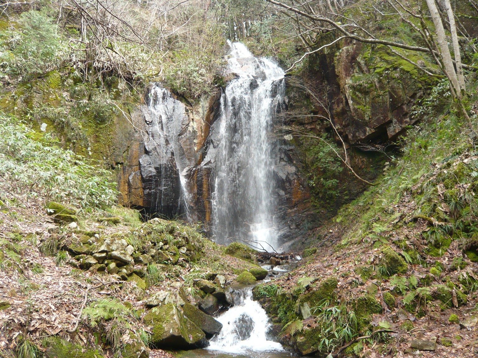 岡山県の滝 さとぽんさんの岡山市 北区の活動日記 Yamap ヤマップ
