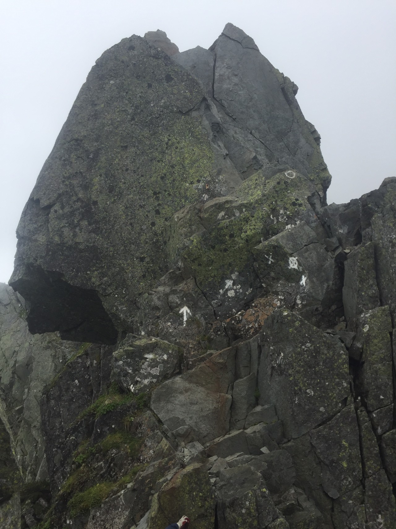 槍 北穂高縦走 大キレット 涸沢 蝶ヶ岳 テント4泊5日 椿 ジュニアさんの槍ヶ岳 穂高岳 上高地の活動日記 Yamap ヤマップ