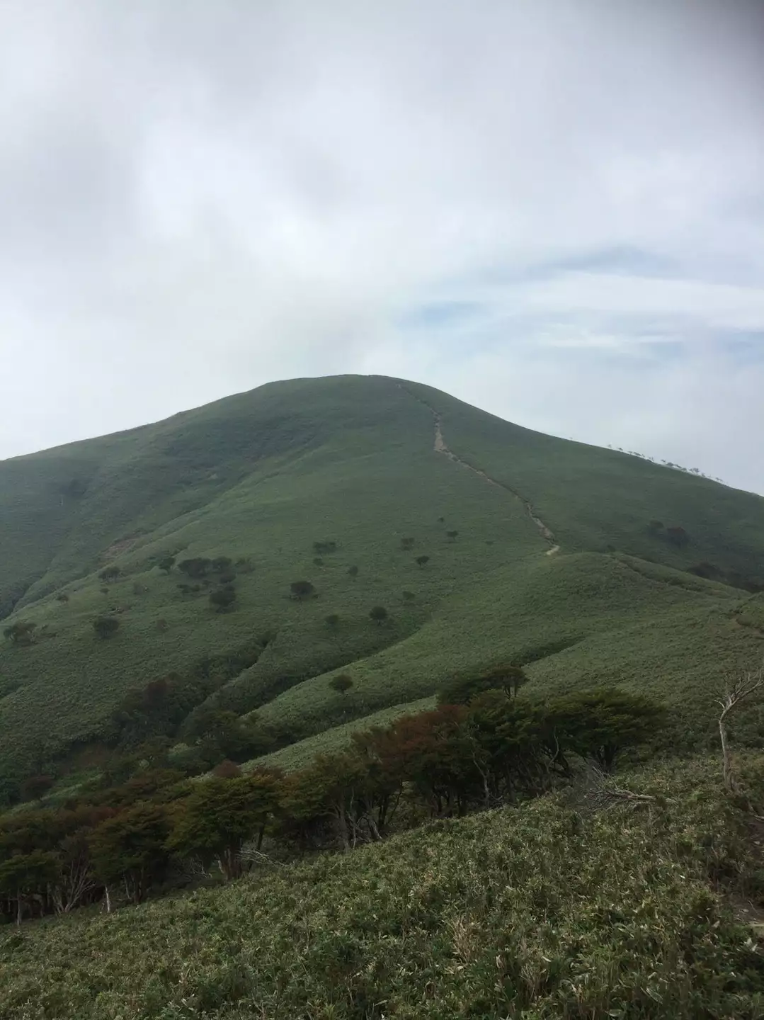 なだらかな稜線が美しい 竜ヶ岳 Sawaさんの竜ヶ岳 三重県 滋賀県 の活動データ Yamap ヤマップ