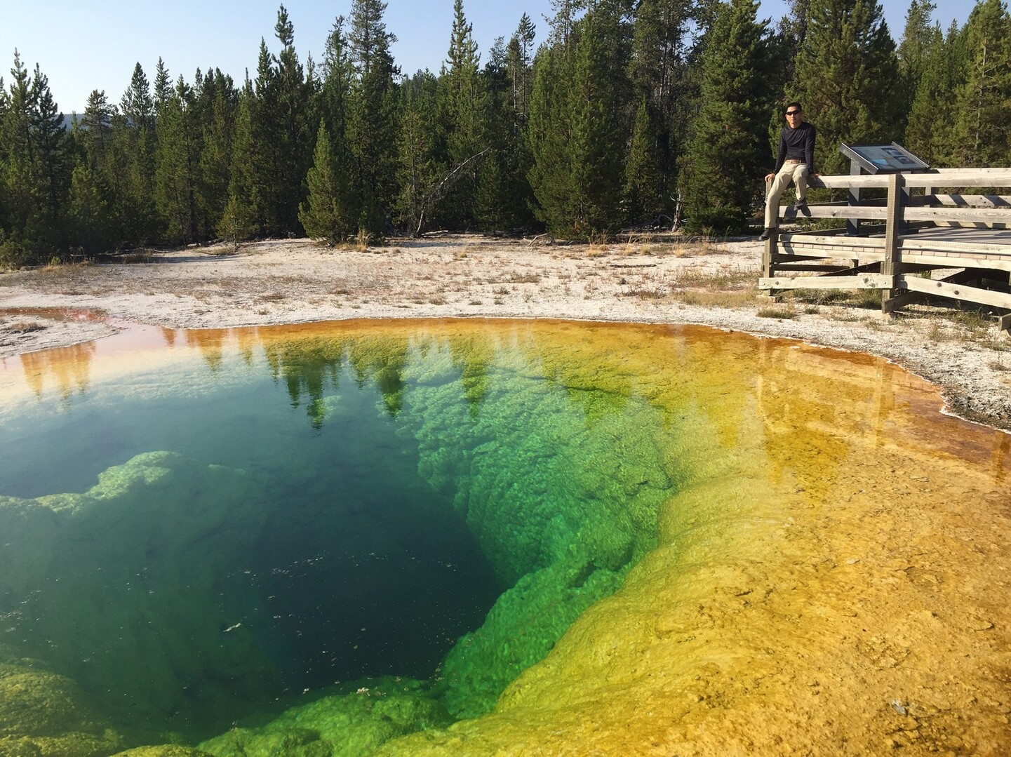丸一日 Yellowstone National Park ともさんのイエローストーン国立公園の活動データ Yamap ヤマップ