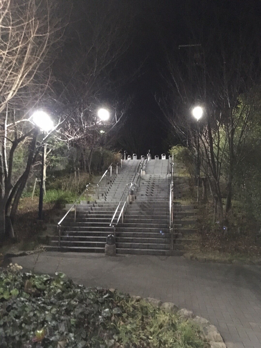 阿武山ナイトハイク 山ごはんミッション なおさんの竜王山 阿武山の活動日記 Yamap ヤマップ
