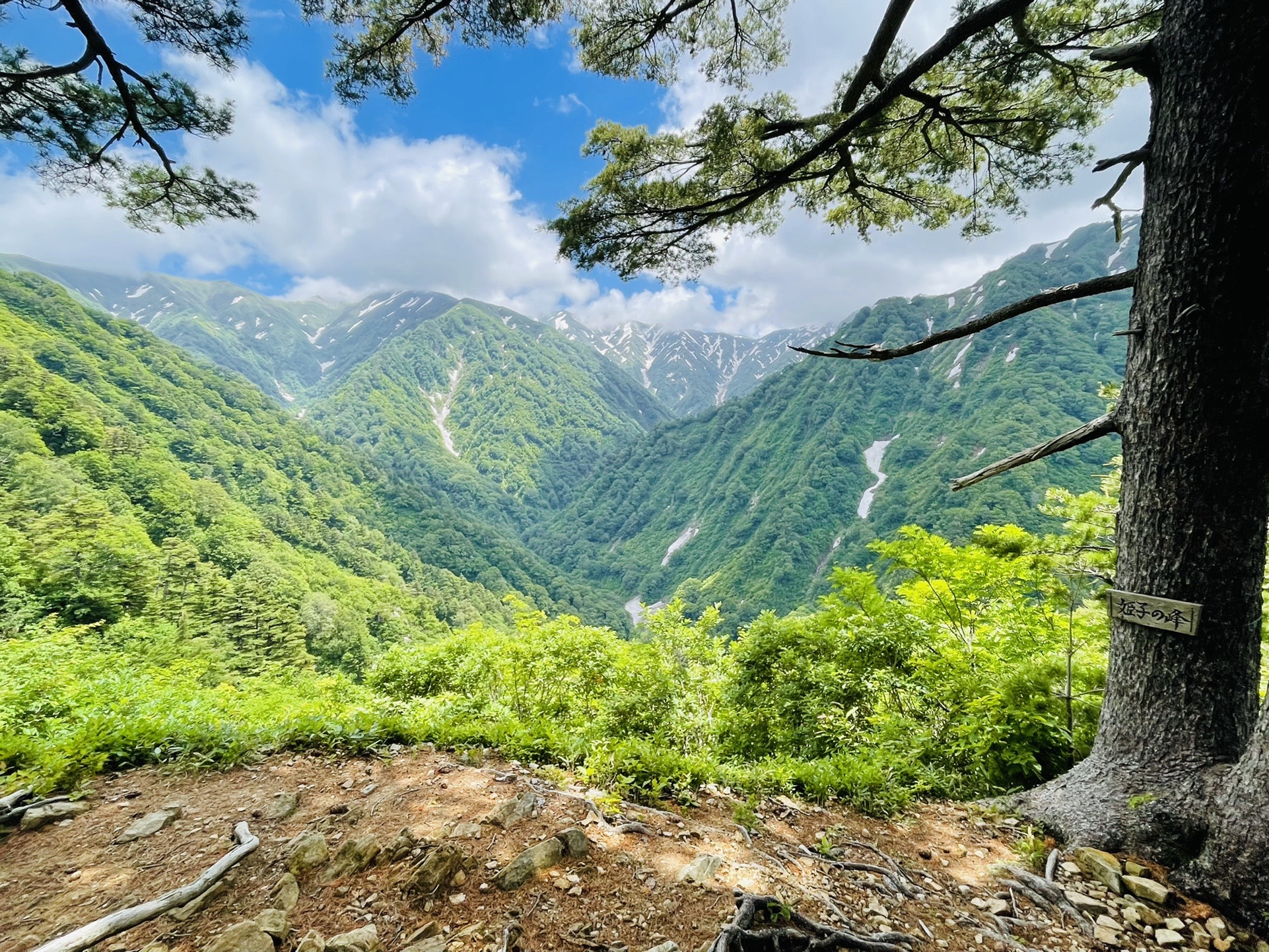 姫子着いた！
（既にこの時間で大問題
