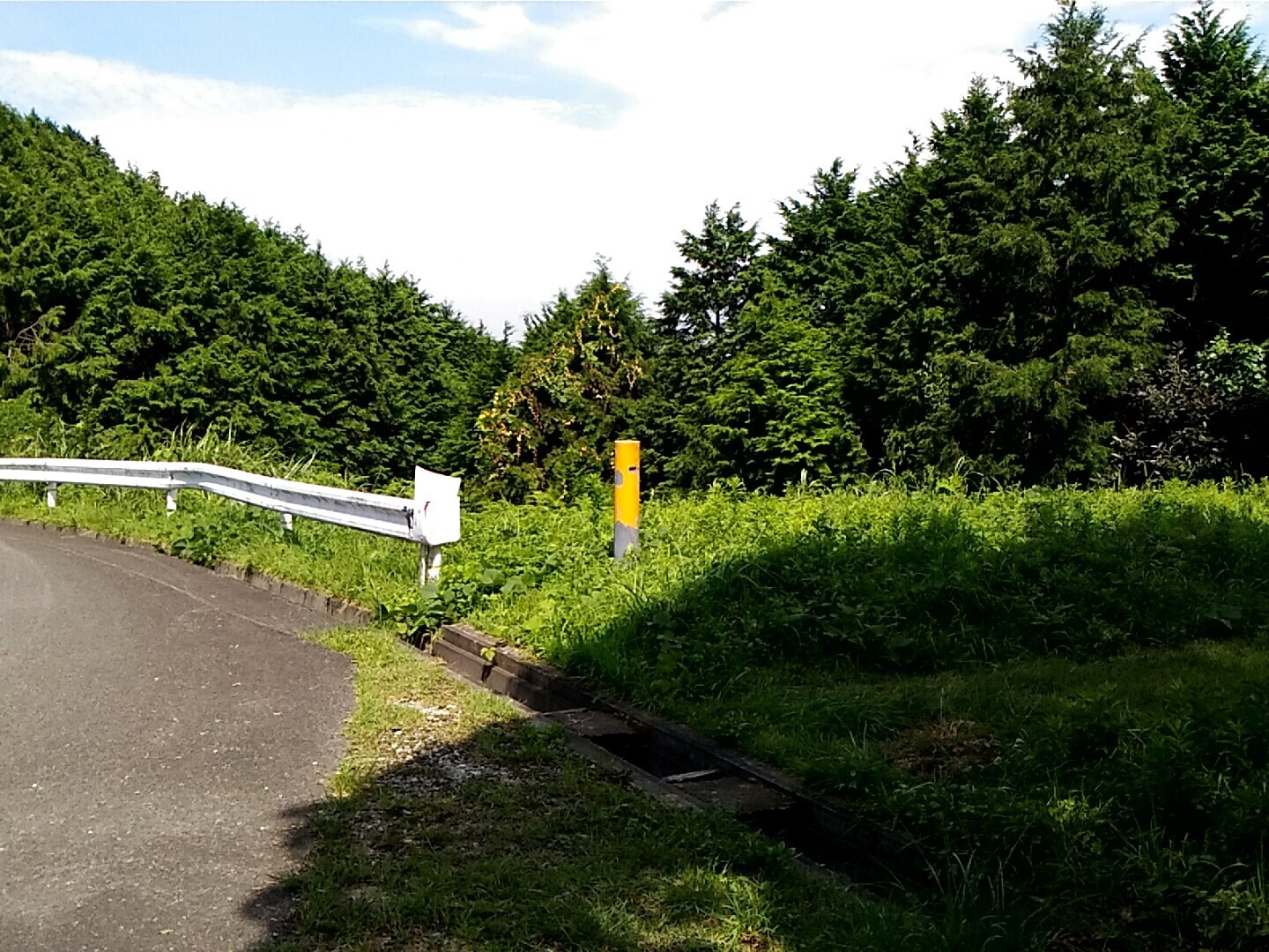 薮と蜘蛛の巣の下山路 かえりんさんの高良山 発心山 鷹取山の活動日記 Yamap ヤマップ