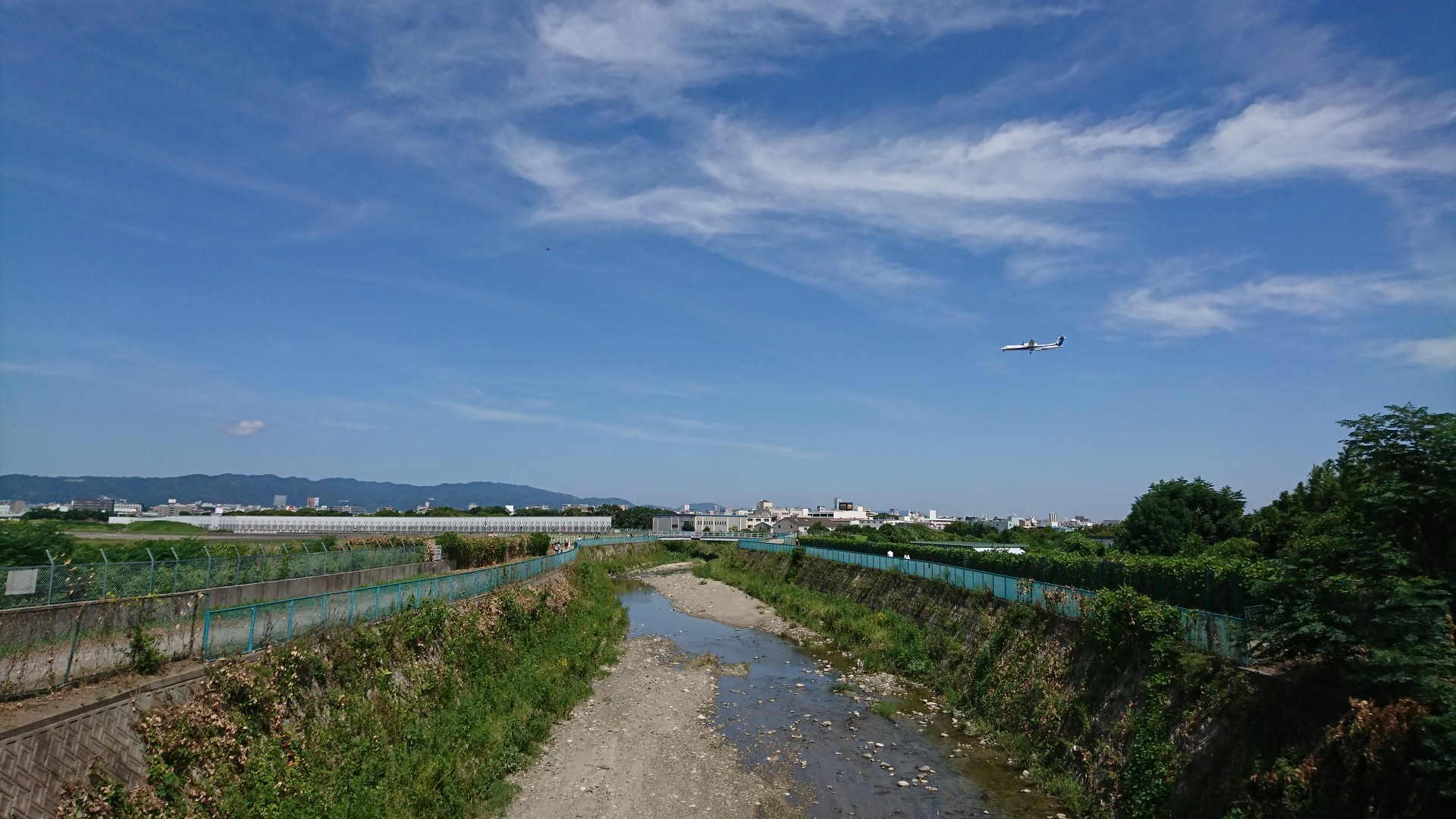 散歩 大阪空港の千里川土手へ あおちゃんさんの大阪市の活動日記 Yamap ヤマップ