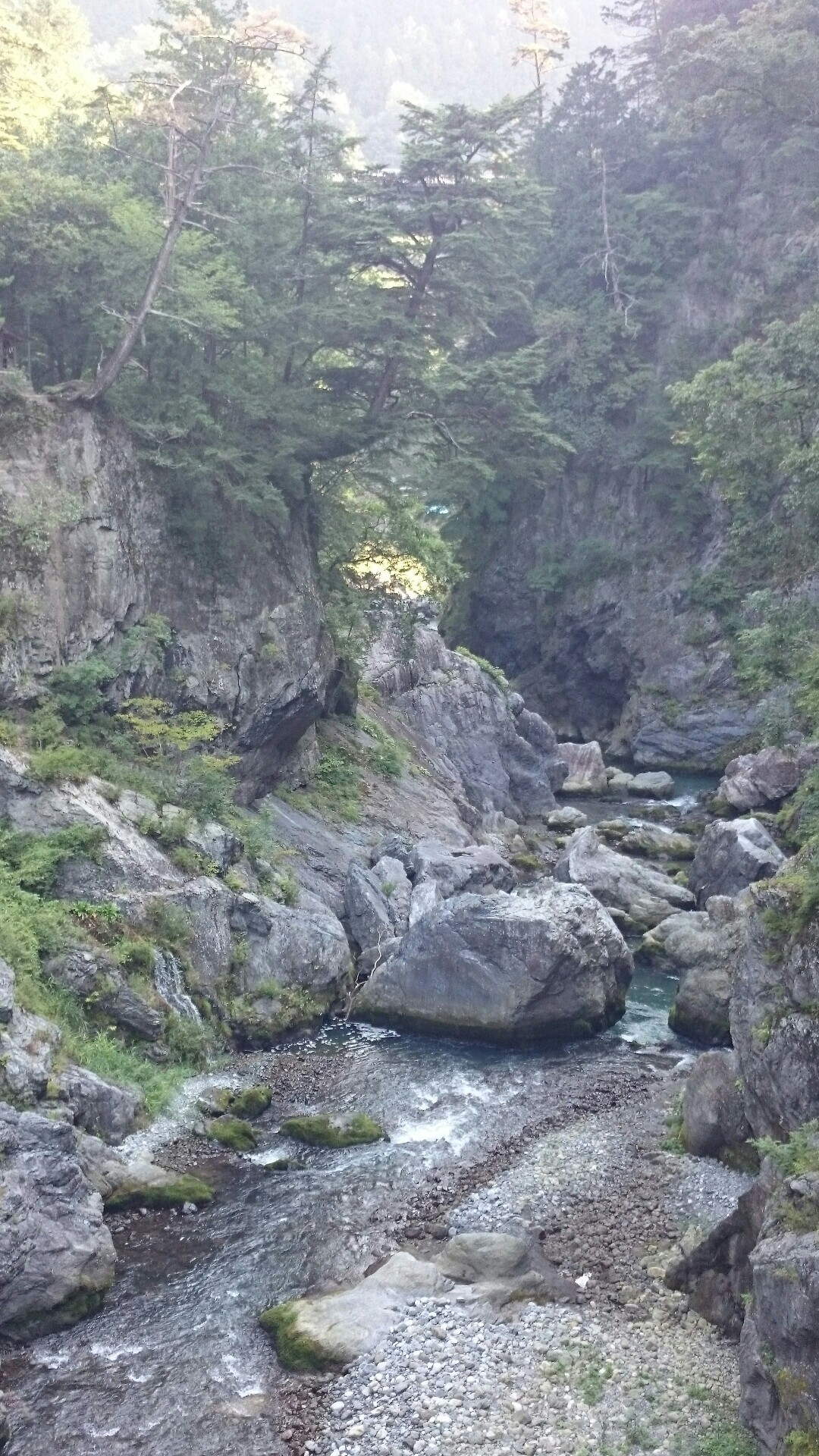 鳩ノ巣渓谷 氷川渓谷見所探して散策コースの巻 白丸ダム対岸遊歩道通行 ですよ 川苔山 川乗山 の写真8枚目 Yamap ヤマップ