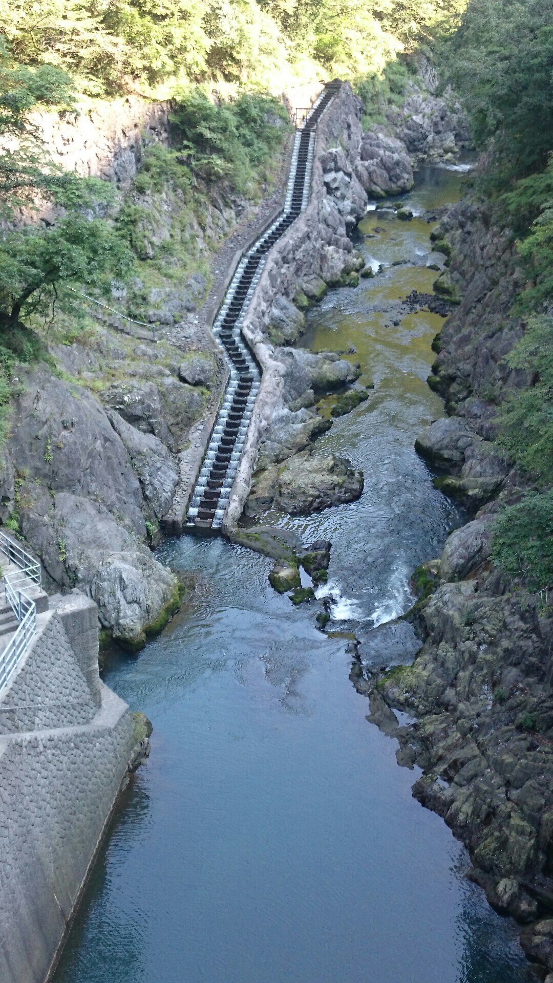 鳩ノ巣渓谷 氷川渓谷見所探して散策コースの巻 白丸ダム対岸遊歩道通行 ですよ 川苔山 川乗山 の写真13枚目 魚道です 見学が 出来る様です Yamap ヤマップ