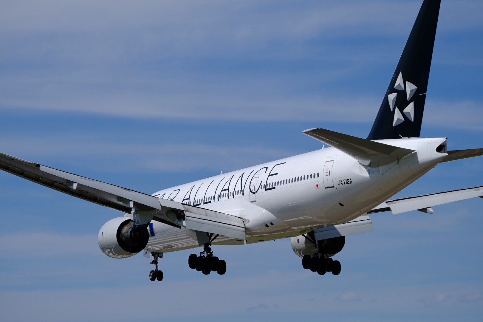 散歩 大阪空港の千里川土手へ あおちゃんさんの大阪市の活動日記 Yamap ヤマップ