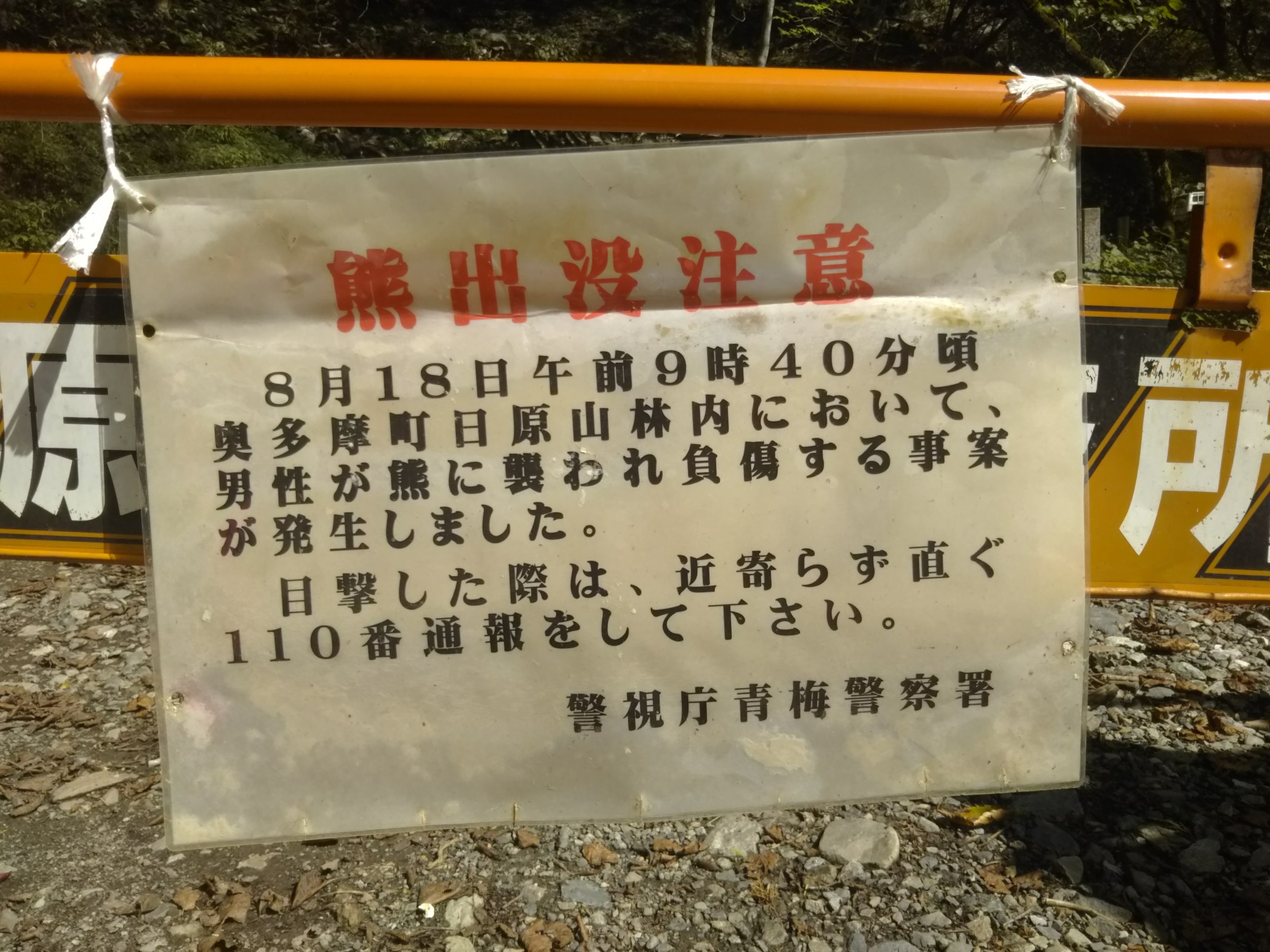 09 28 奥多摩小川谷釣行 チュ さんの雲取山 鷹ノ巣山 六ツ石山の活動データ Yamap ヤマップ