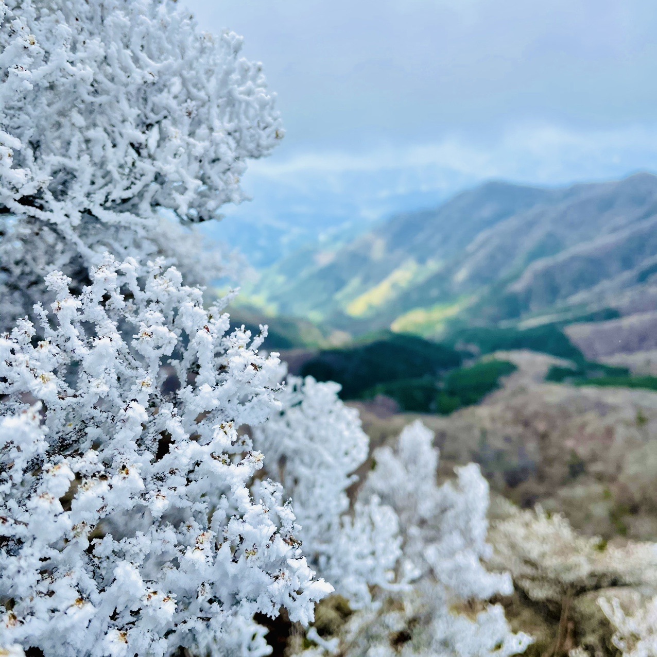 親父山 障子岳 黒岳 三尖 赤川浦岳 Sachiさんの祖母山の活動データ Yamap ヤマップ